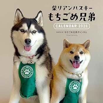 大柴さん専用 POP RACE 1/64 PANDEM GR86 斉藤大吾 フォーミュラドリフト ジャパン