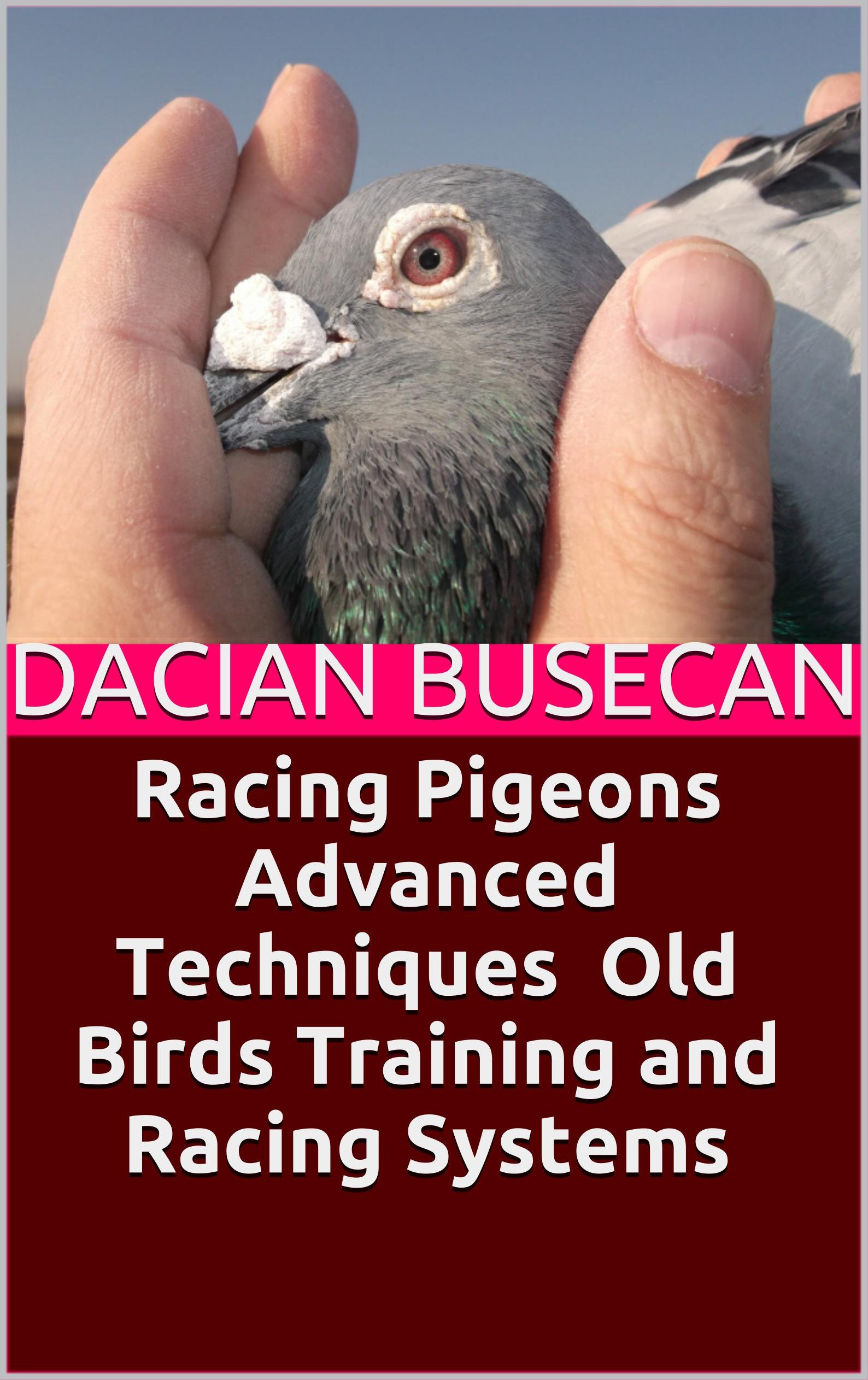 Racing Pigeons Advanced Techniques - Old Birds Training and Racing Systems