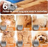 oneisall toelettatura e aspirazione a Vuoto per Animali Domestici - 6