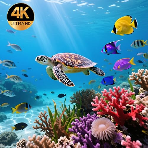 AQUARIUM