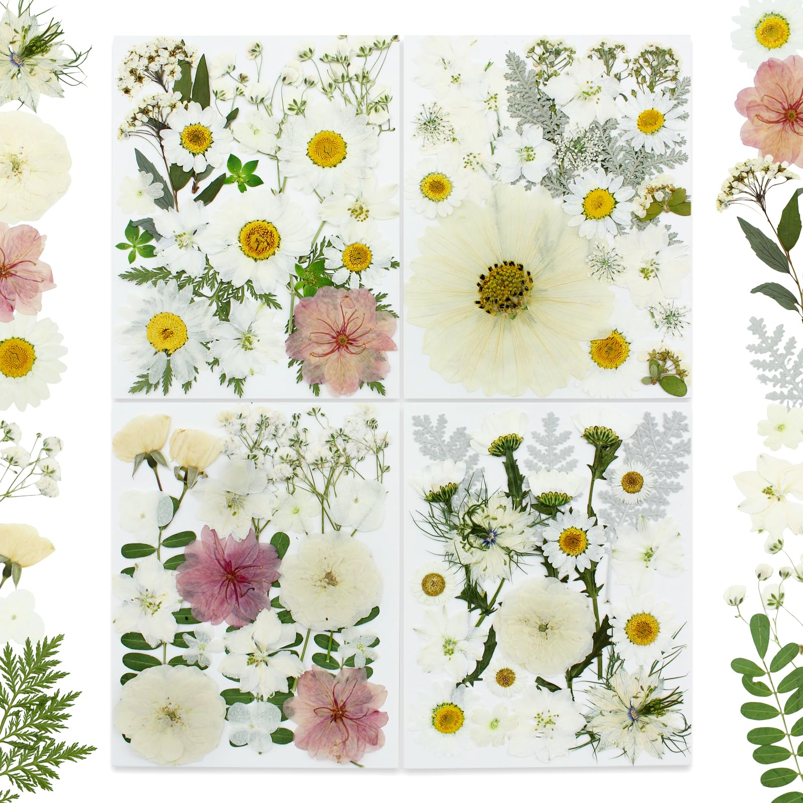 Dried Pressed Flowers for Buzidao Epoxy Resin (Multicolor-14)-image-49
