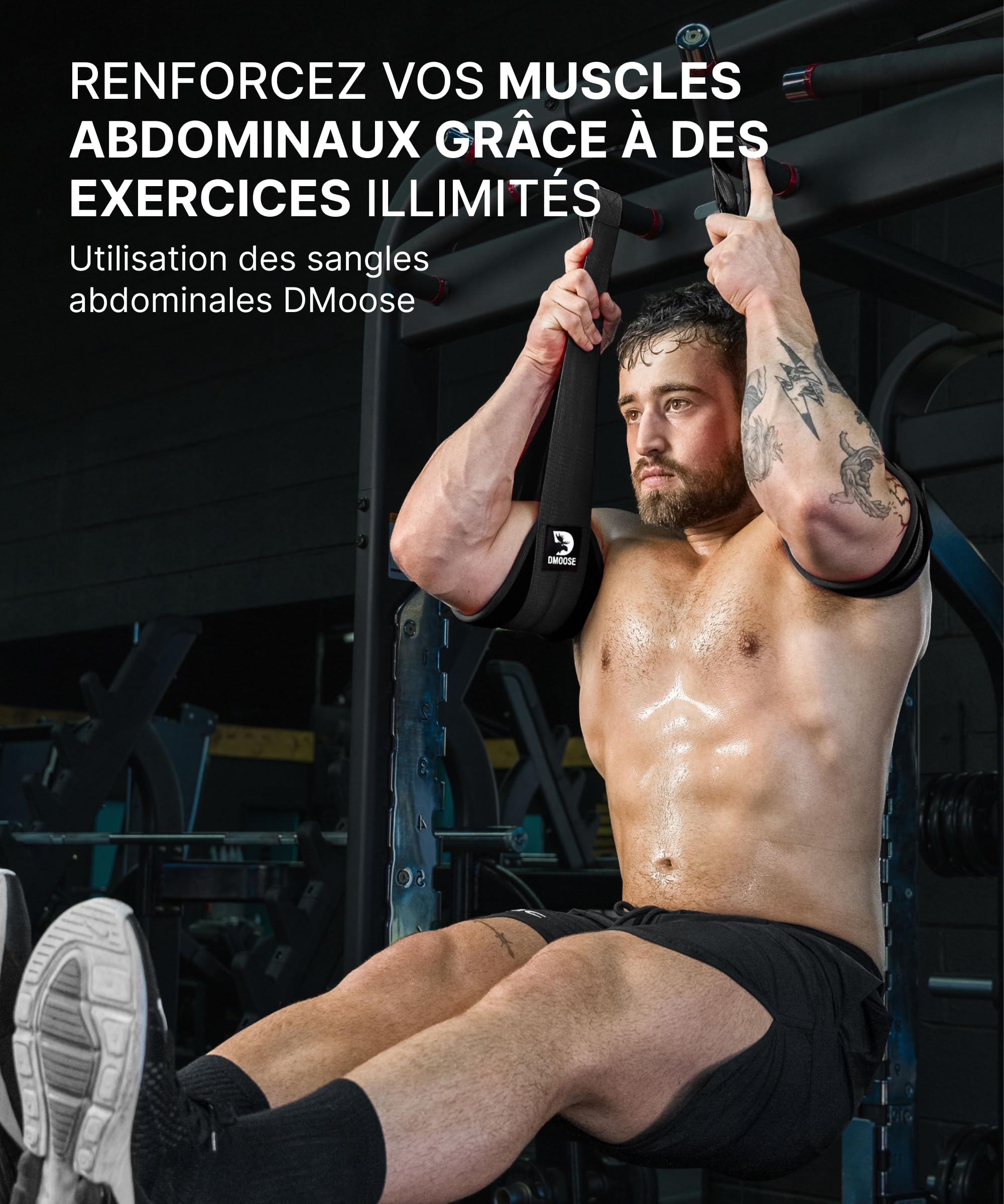 DMoose Fitness AB Straps – Sangles Abdominaux pour Tractions – Équipement de Musculation à Domicile – Entraînement Core et Abdos – Qualité Premium pour Hommes et Femmes