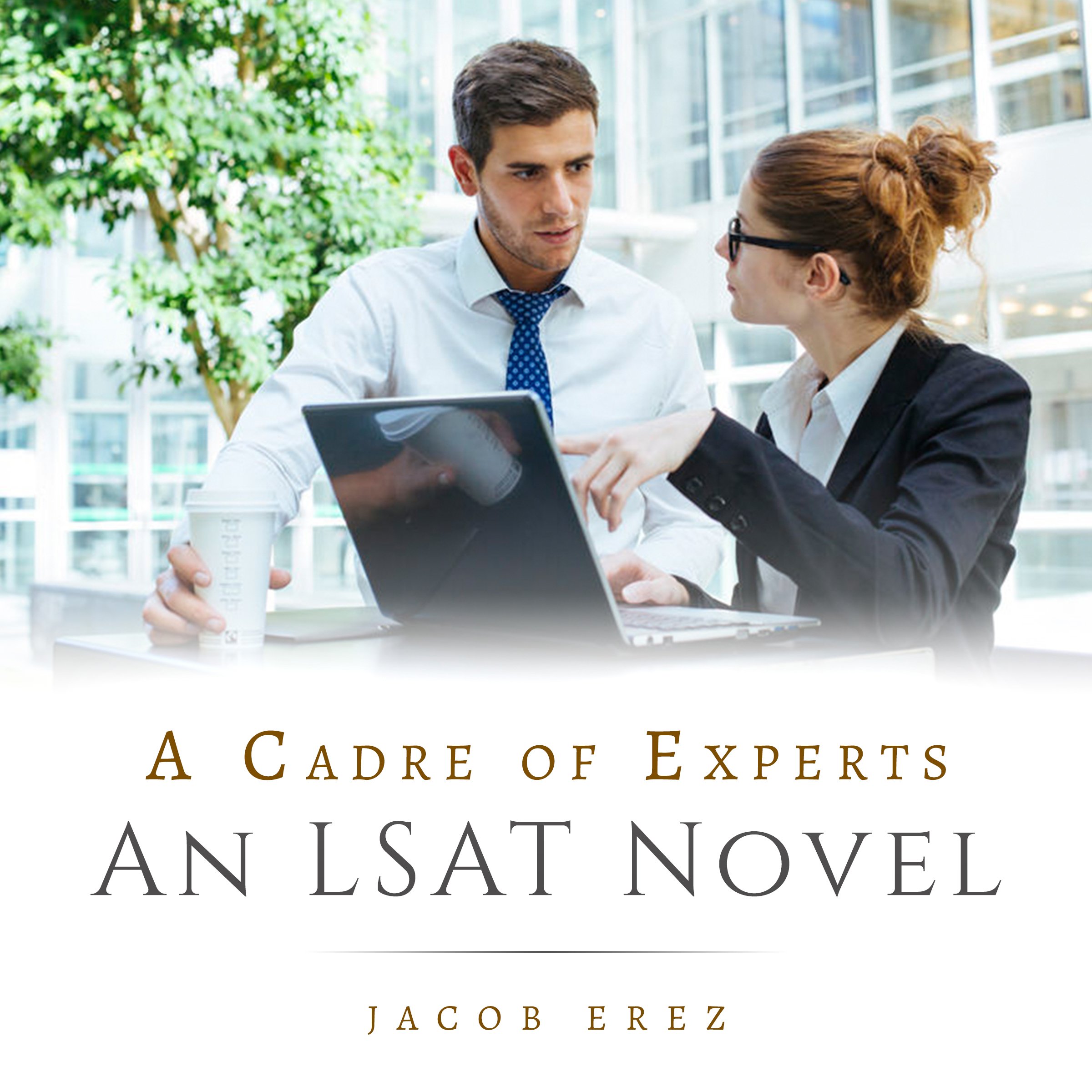 Cover art for A Cadre of Experts: An LSAT Novel