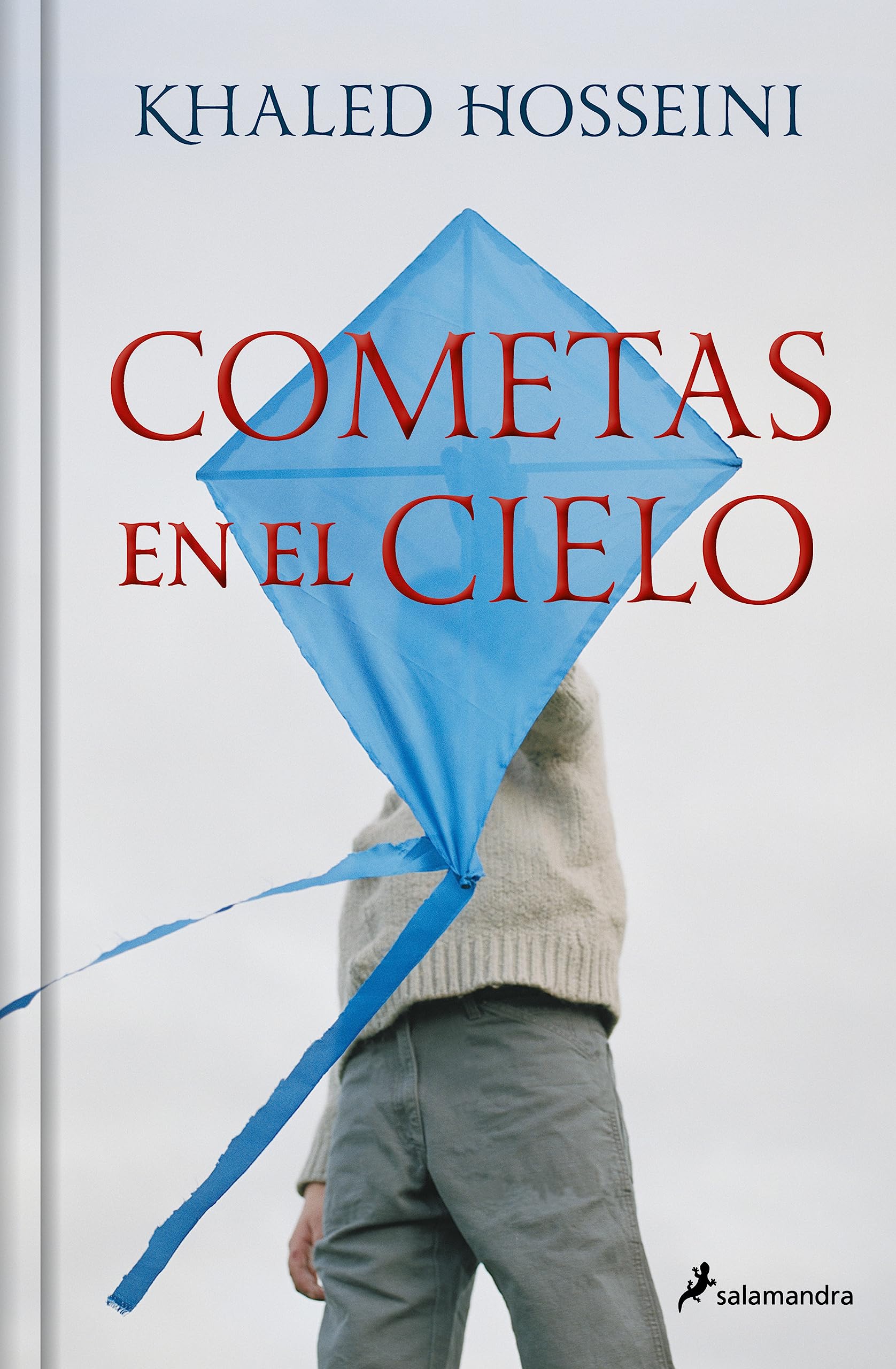 Cometas en el cielo (Spanish Edition)