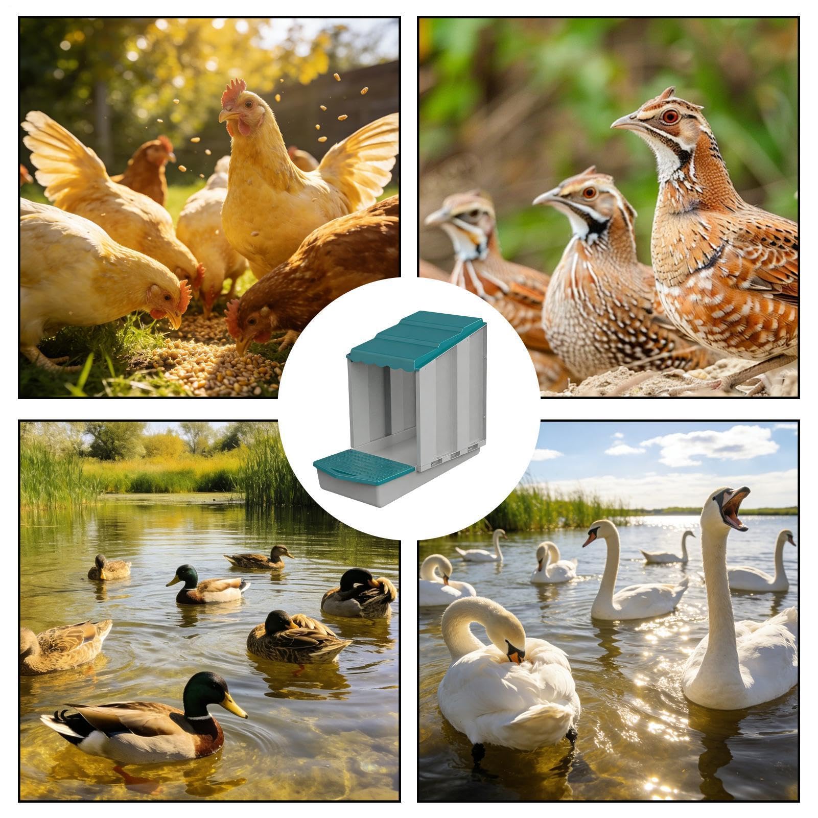 Cassetta per Galline | Impermeabile per Anatre | Pollaio da Esterno | per Allevatori, Agricoltori, Amanti degli Animali, Cortile, Fattoria, Giardino, Pollaio Mobile