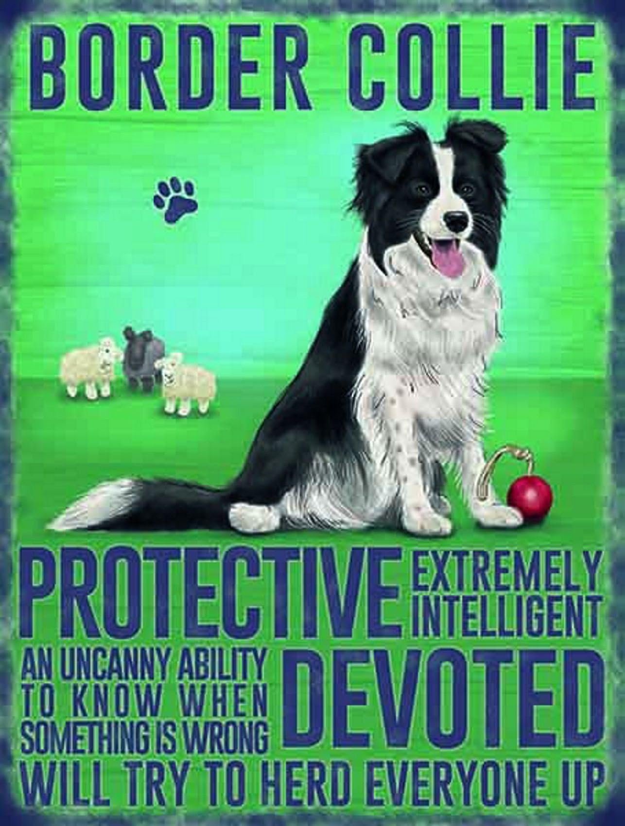 Vintage Style Retro Metal Sign Dog Lovers Owners Gift Tin Pedigree Dogs BORDER COLLIE