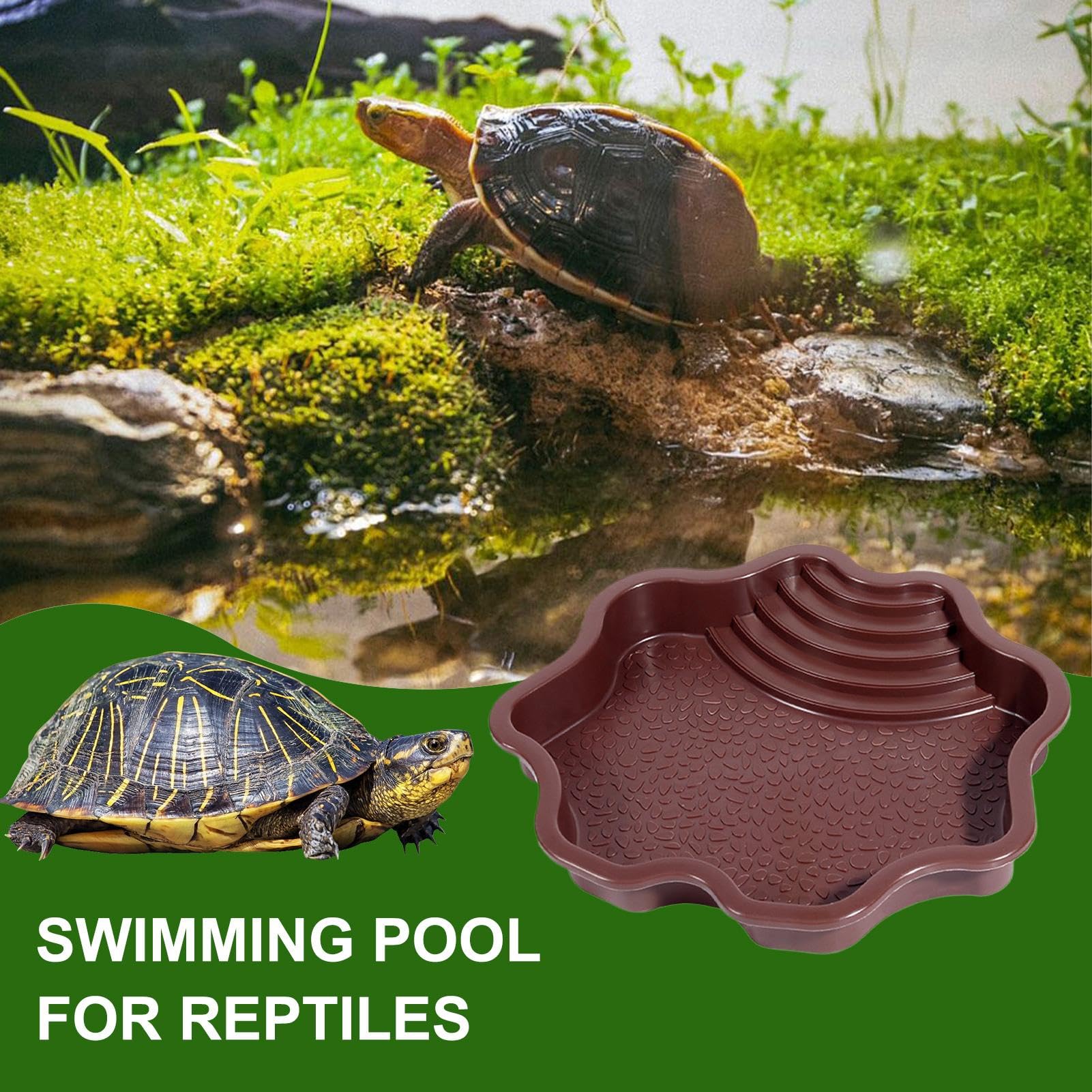 Piscine de baignade pour reptiles avec échelle | Accessoires habitat pour salamandre, dragon barbu, lézard