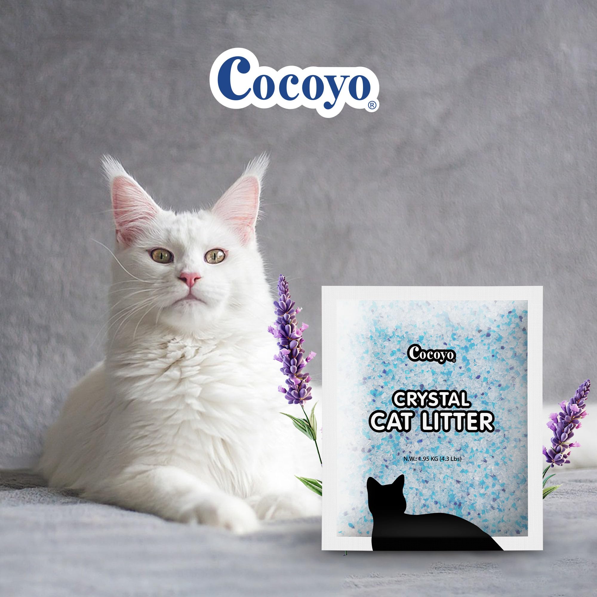 COCOYO Lettiera per gatti in gel di silice profumata alla lavanda, 7,8 kg, confezione risparmio (2 kg x 4)