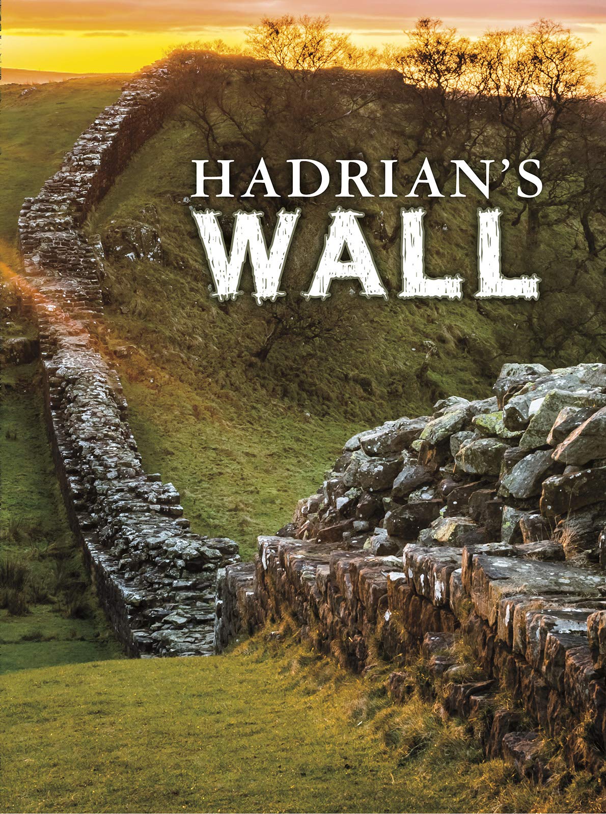 Capstone Global Library Ltd Hadrian's Wall