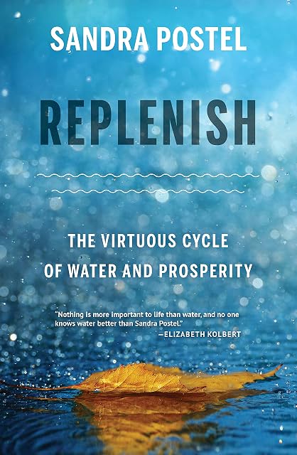 Portada de Replenish