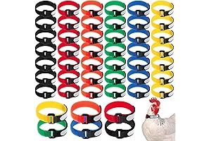 Shappy 48 Pieces Large Rooster Crow Collar, Make Your Rooster Happy and Quiet