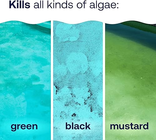 Miniatura 3 de HTH 67084 Pool Care Algae Guard Advanced, Eliminador de todas las algas para piscinas - Acción rápida, destruye y previene las algas verdes, negras