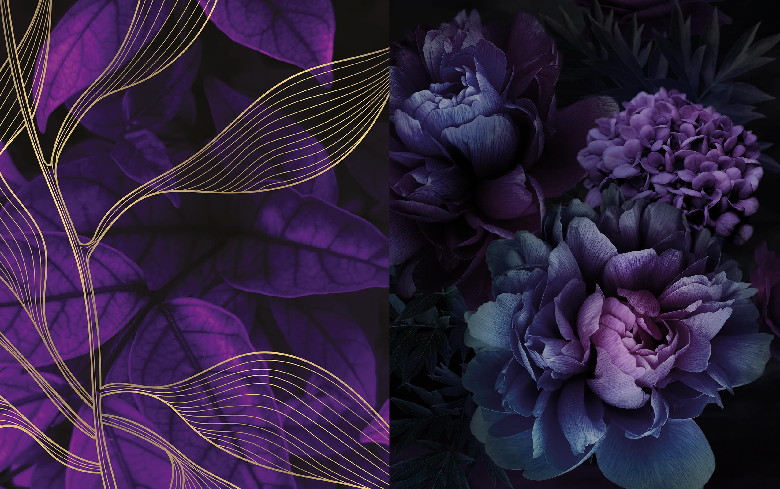 Paper Paper Paper: The Opulent Collection: 180 Pages to Create and Craft With