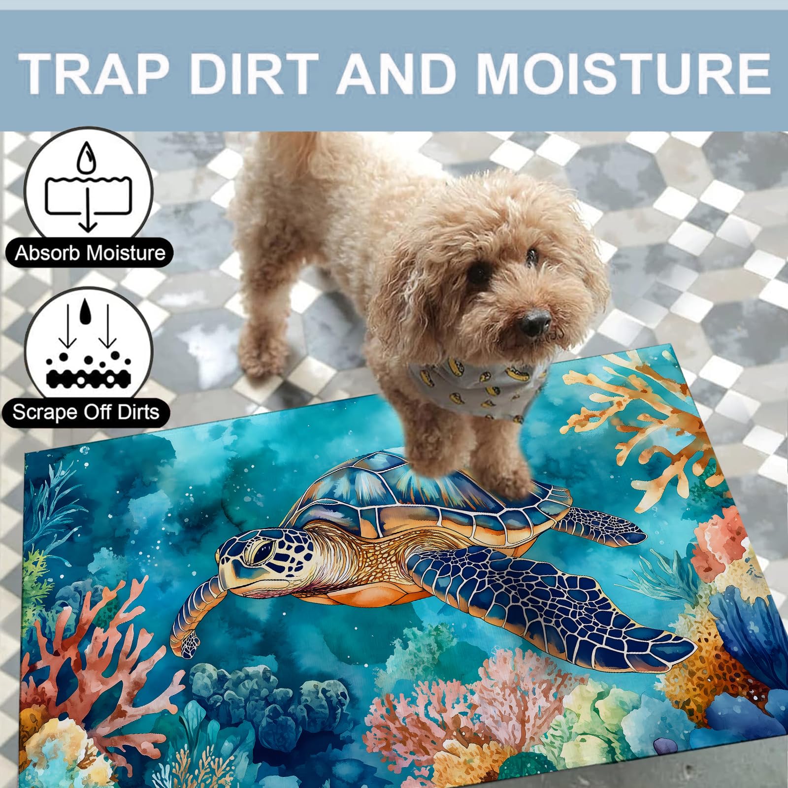 View 3