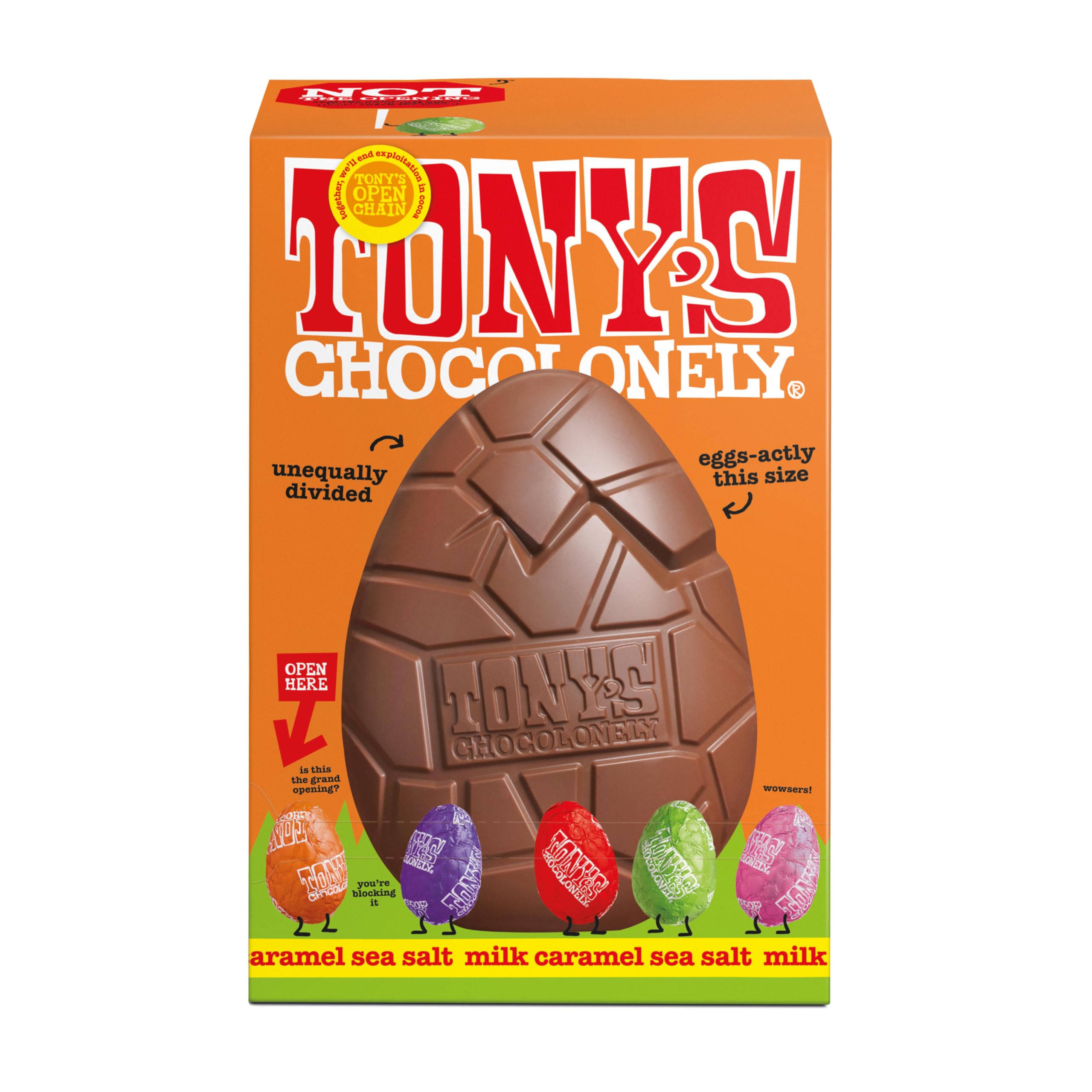 Large Easter Egg - Milk Chocolate Caramel Sea Salt with 5 Smaller Solid Chocolate Eggs - Fairtrade Easter Gifts (242g)