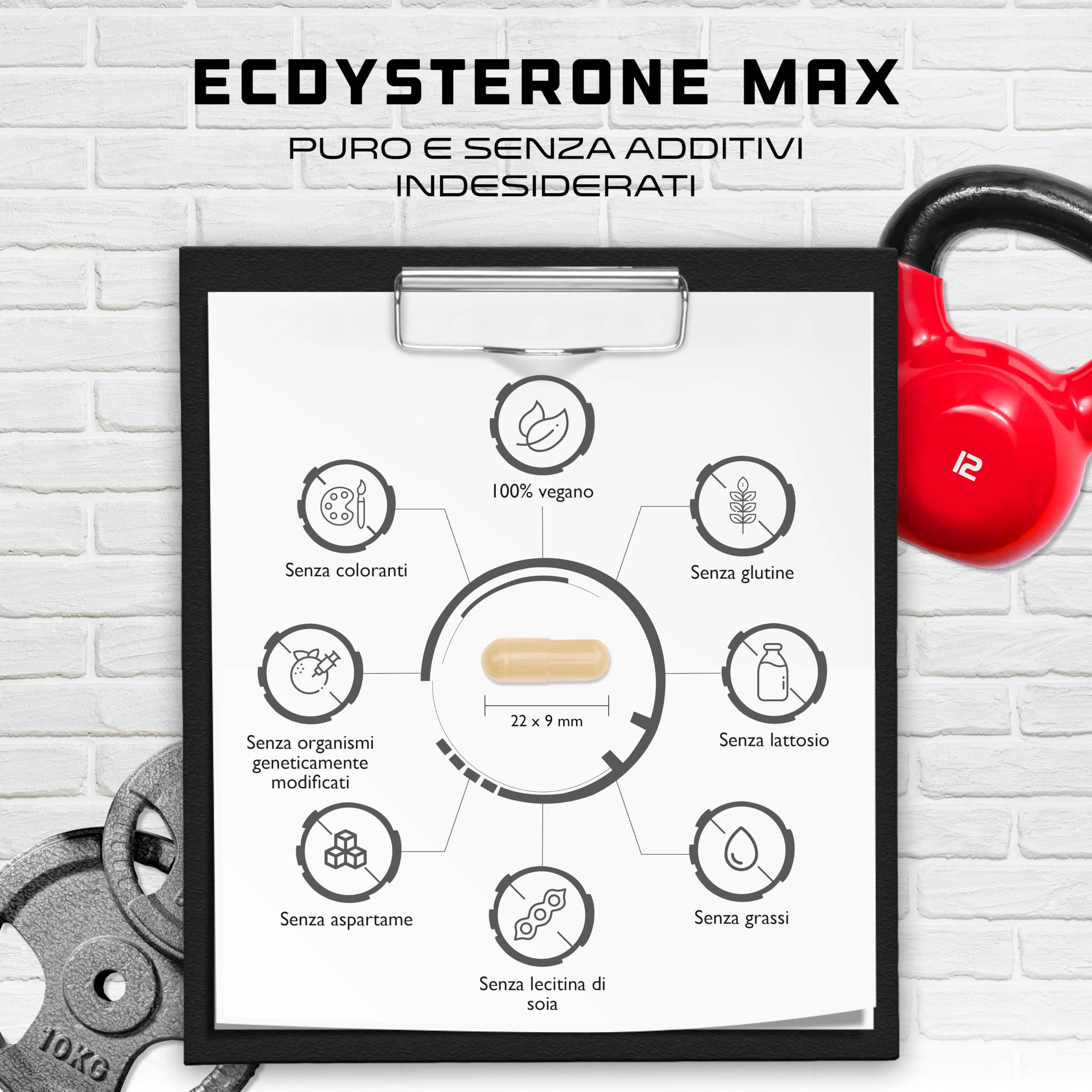 Ecdysterone Complex - Altamente dosato con 760 mg per pezzo - Premium: 90% Beta-Ecdysterone + L-Leucina + Piperina - 60 capsule - Vegan