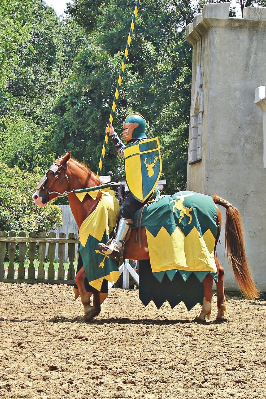 Cool Image Journal #27: Green Knight (lined pages): 200 Page Journal