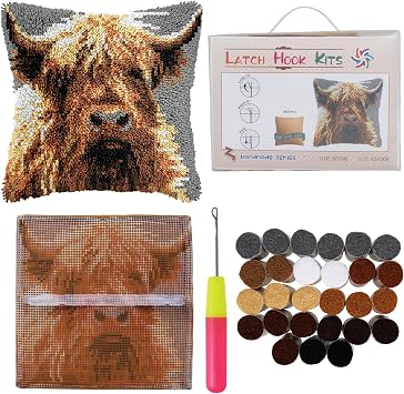 Latch Hook Cushion Kits for Adults 17x17 Inch 3D DIY Pre-Printed Canvas Latch Hook Kit with Acrylic Yarn & Crochet Hooks Handmade Throw Pillow Cover Embroidery Craft for Beginners, Home Sofa Decor