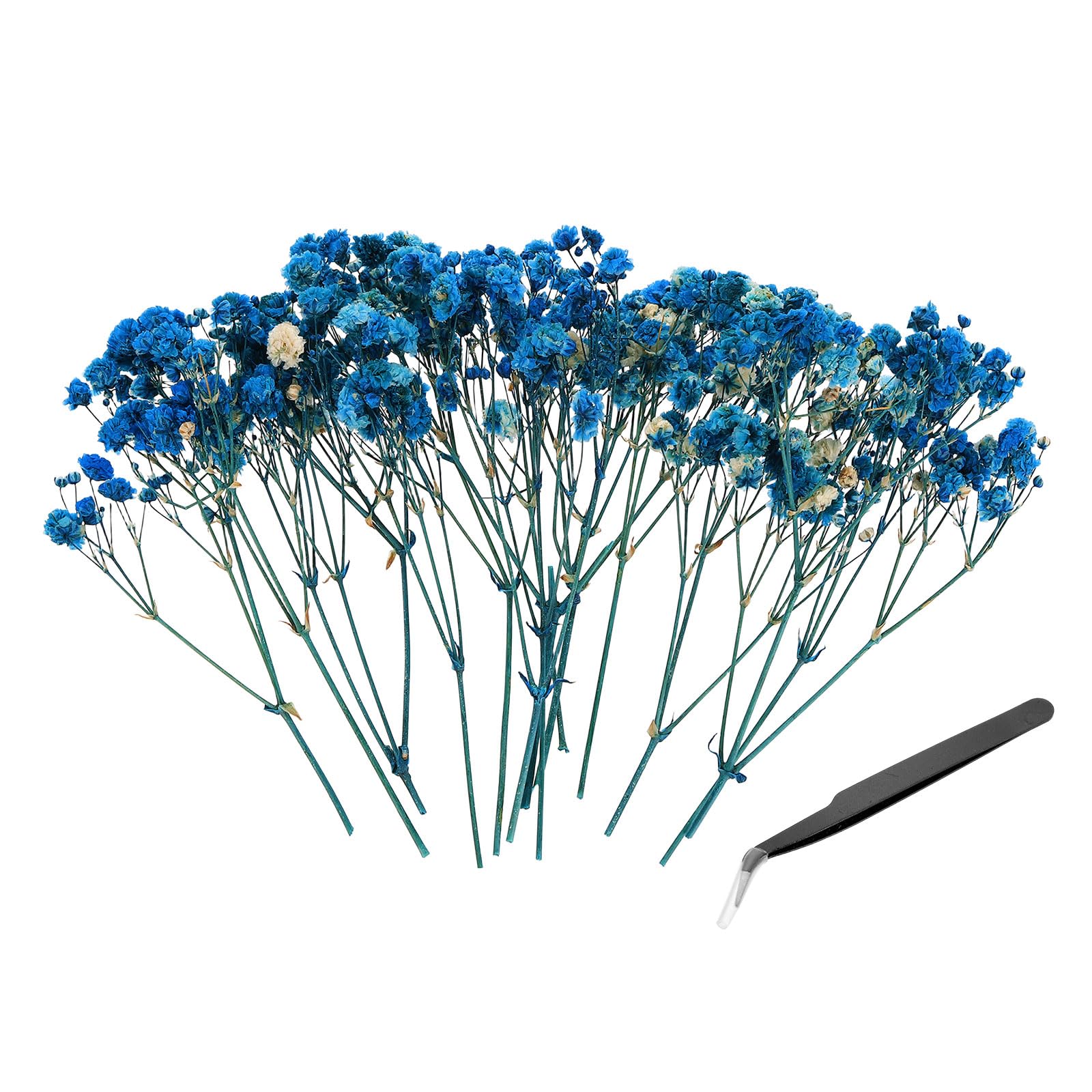 PATIKIL Mini Dried Gypsophila Flower Kit, 30Pcs 4 Inch Dark Blue Natural Pressed Floral Bundles with Tweezer for DIY Resin Crafts Gift Wedding Christmas Card Decor Flower Bouquets