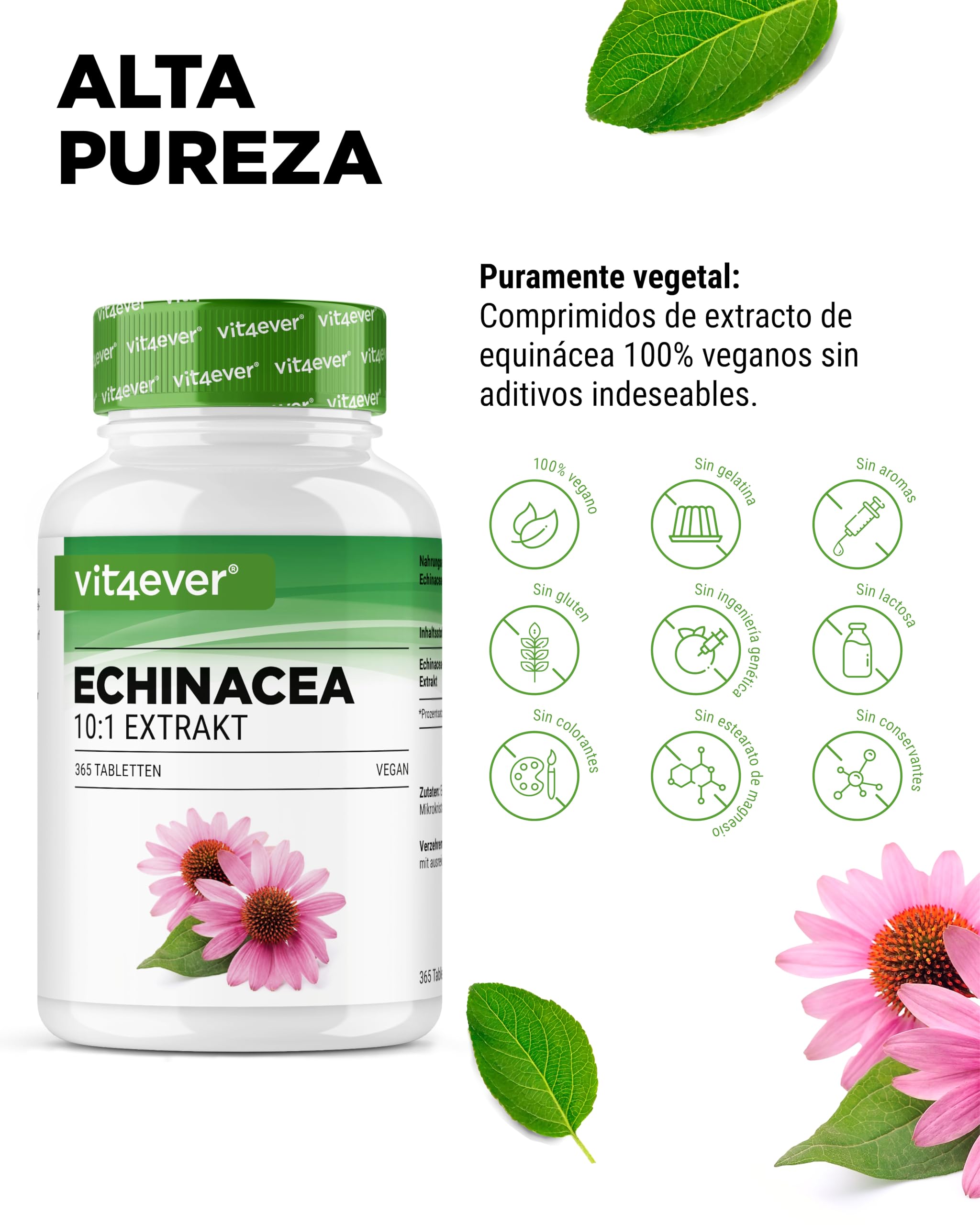 Echinacea 500 mg - 365 comprimidos veganos - Extracto natural de equinácea 10:1 - Alta dosis - Sin aditivos indeseables - Vegano