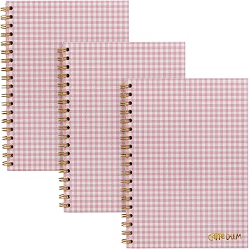 Pukka Pad Carpe Diem B5 Notebooks Pack of 3 Double Spiral Bound Hard Cover Journals with 160 Pages, 80 Sheets of Lined Paper for Everyday School, Office, and Personal Notes, Ballerina Check Pink