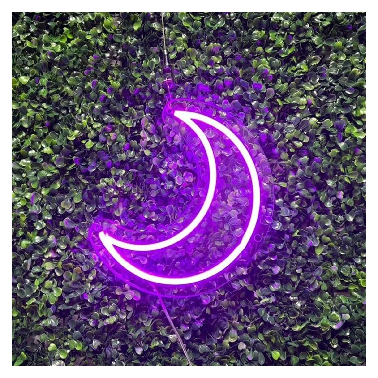 LEMST Signs Lamp Moon Neon Sign Moon USB Neon Light, Handcrafted Wall Art Bedroom Or Living Room Wall Decor 30cm(Purple)