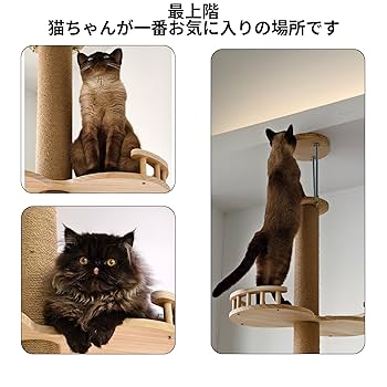 新品未開封 天然木 キャットタワー 突っ張り 3軸 もえ楽園 Amazon | もえ楽園 キャットタワー 突っ張り 3軸でしっかり安定