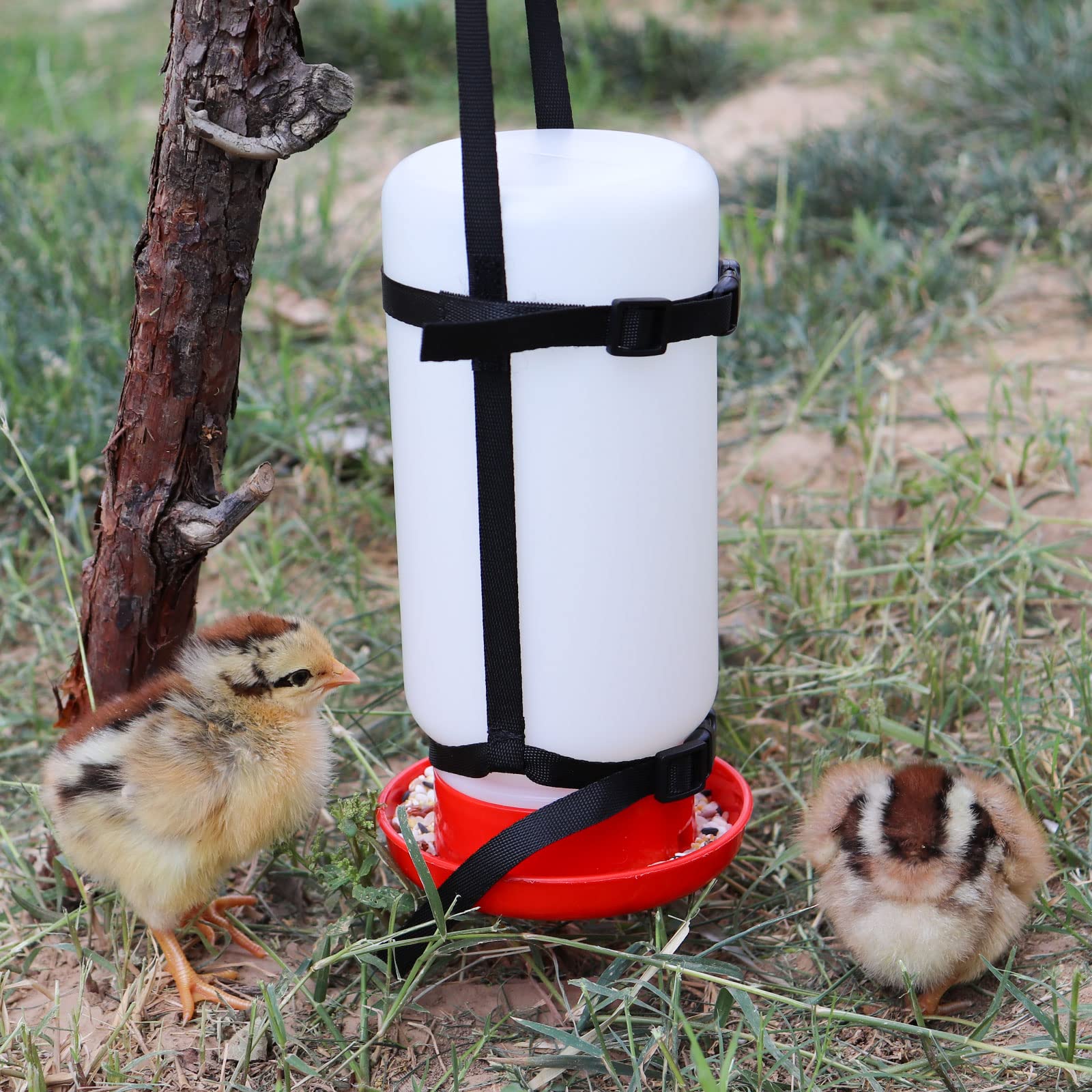Dnoifne 2 Pack Chicken Hanging Straps for Poultry Farm Chicken Waterer Feeder(Bottle Not Included)