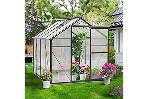 6x6 FT Outdoor Greenhouse, A Verdant Oasis for Green Thumbs
