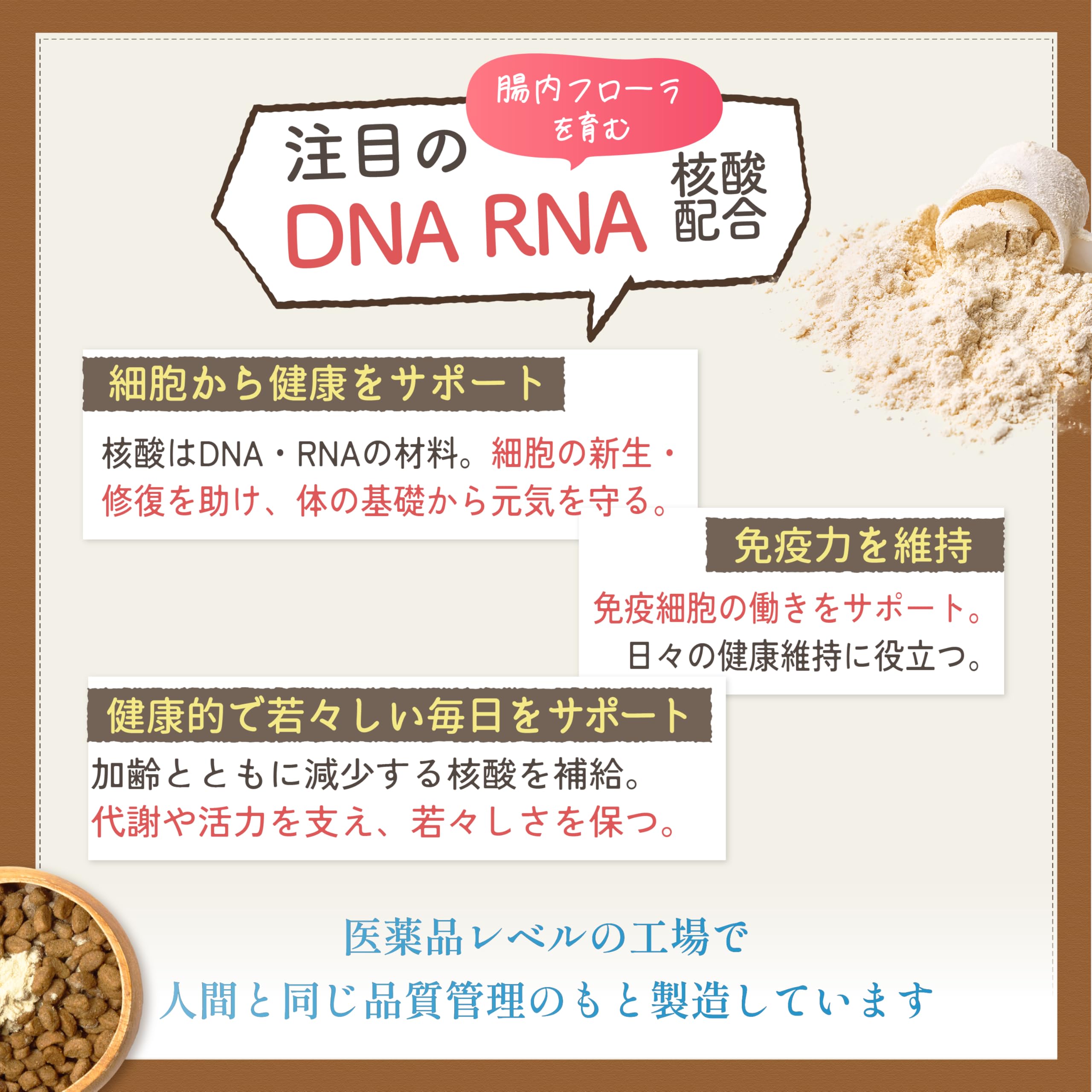 Amazon.co.jp: ここな kokona 猫 乳酸菌 酵素 サプリメント 腸内環境