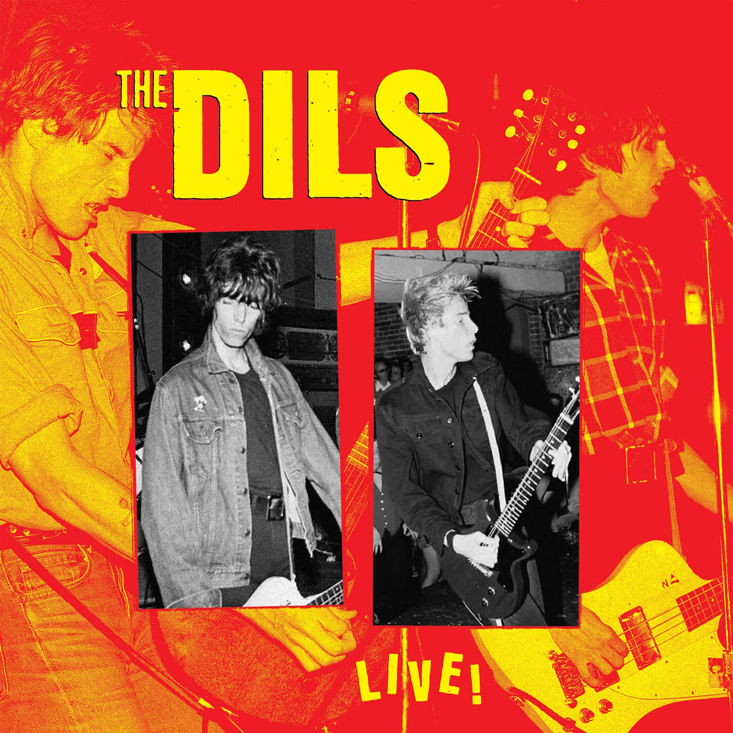The Dils