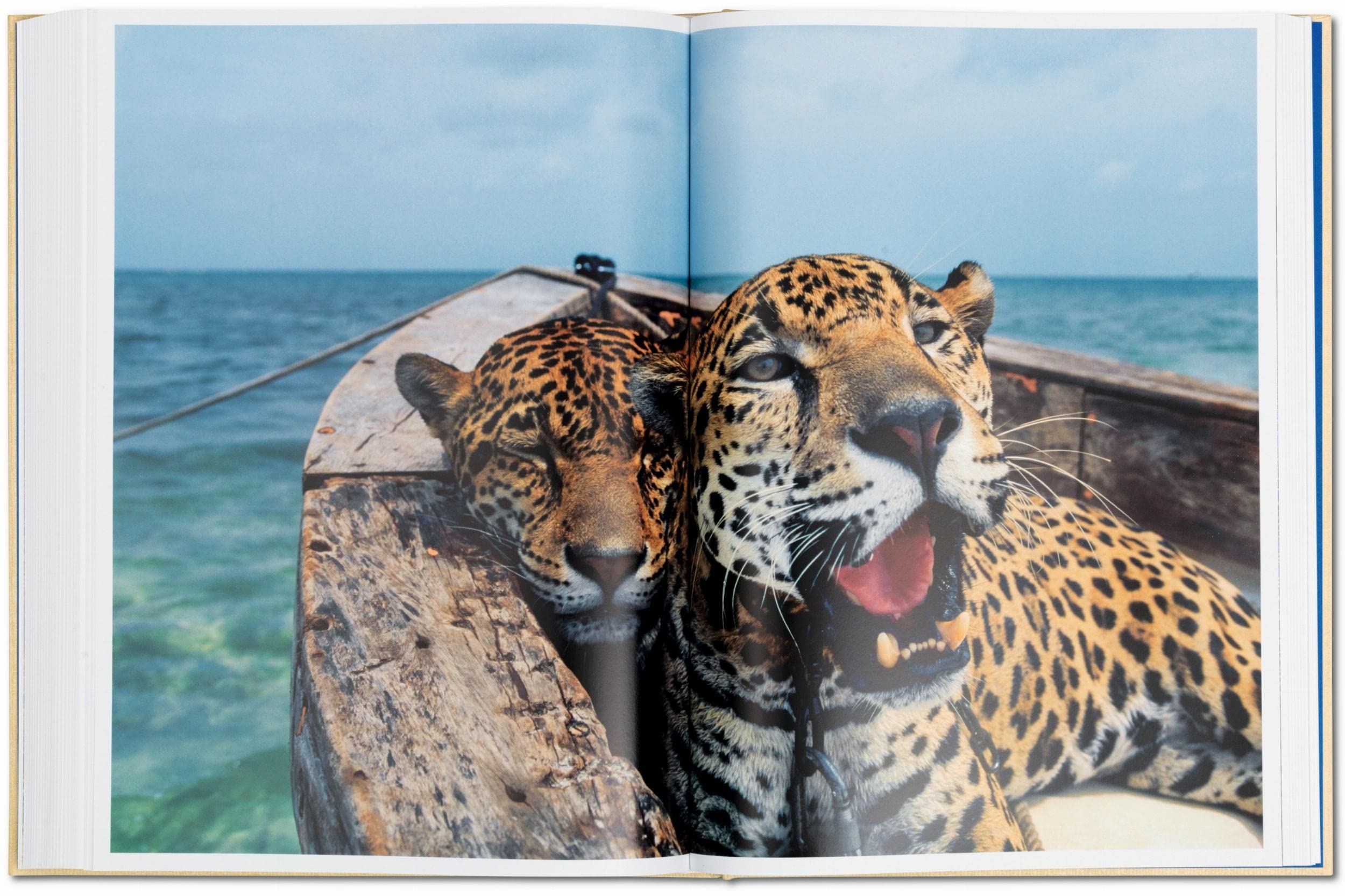 National Geographic. In 125 Jahren um die Welt: Eine Reise durch die Zeit mit dem beliebtesten Fotomagazin des Planeten. Nord- und Südamerika & Antarktika / Europa & Afrika / Asien & Ozeanien