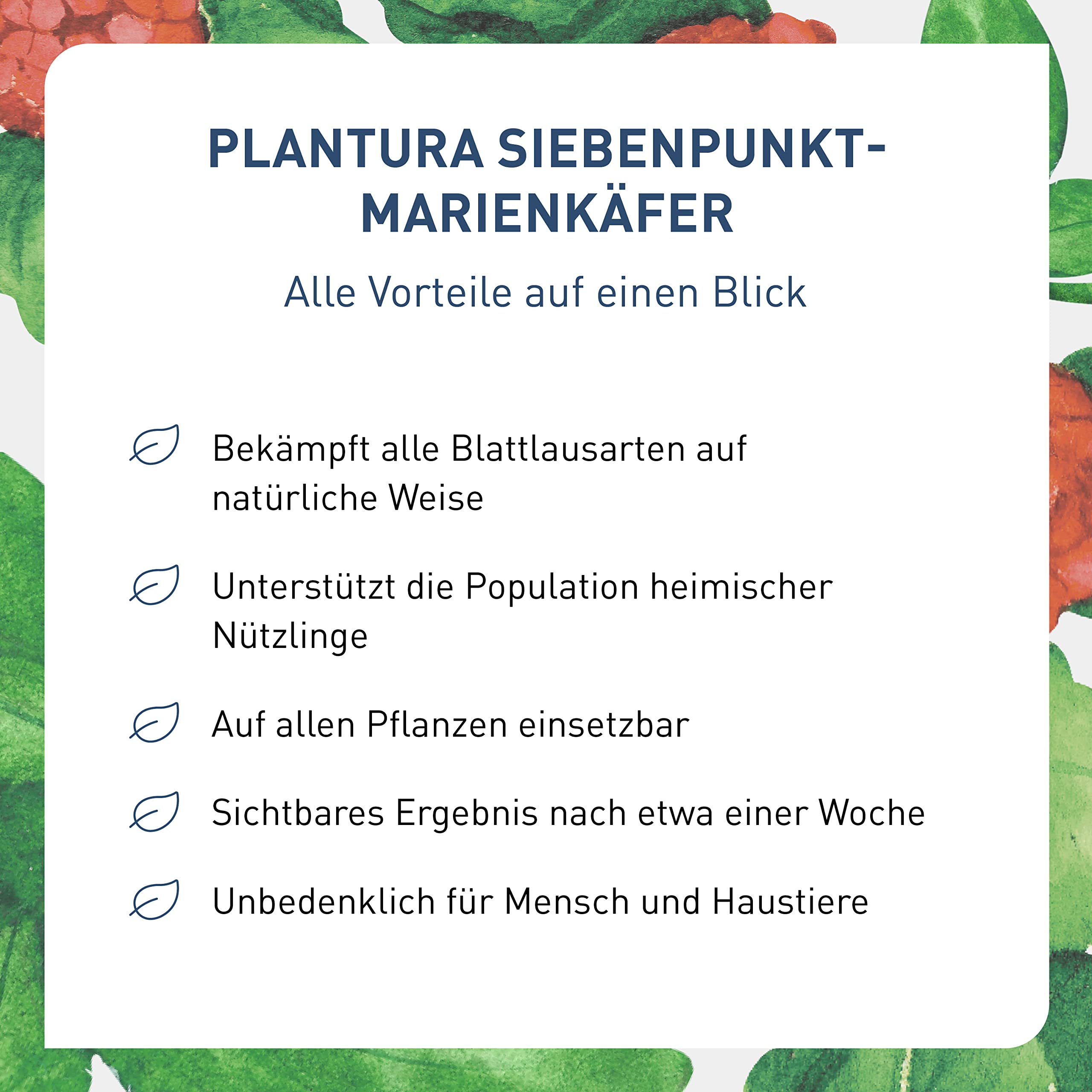 Plantura Siebenpunkt-Marienkäfer gegen Blattläuse, wirksam & nachhaltig, 10 Nützlinge