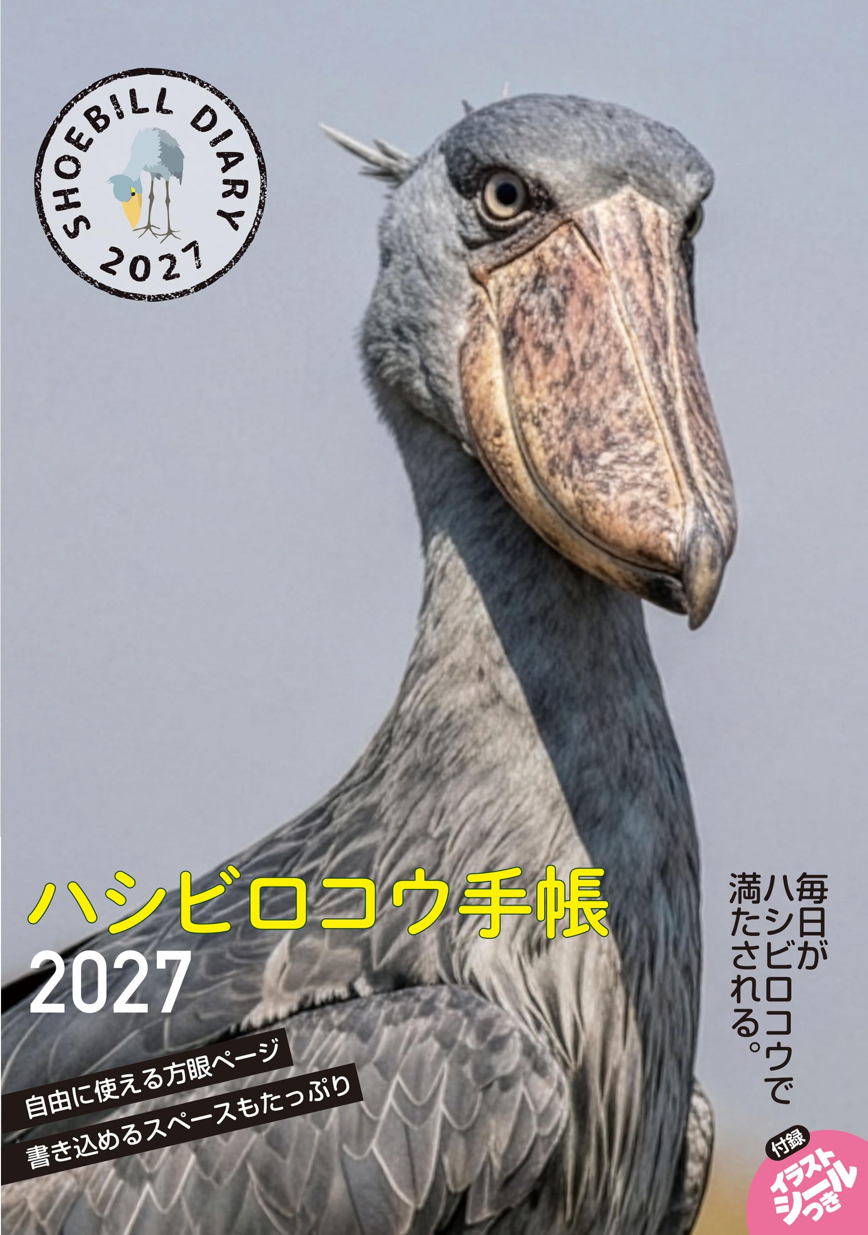 81W8-KKSZZL.jpg