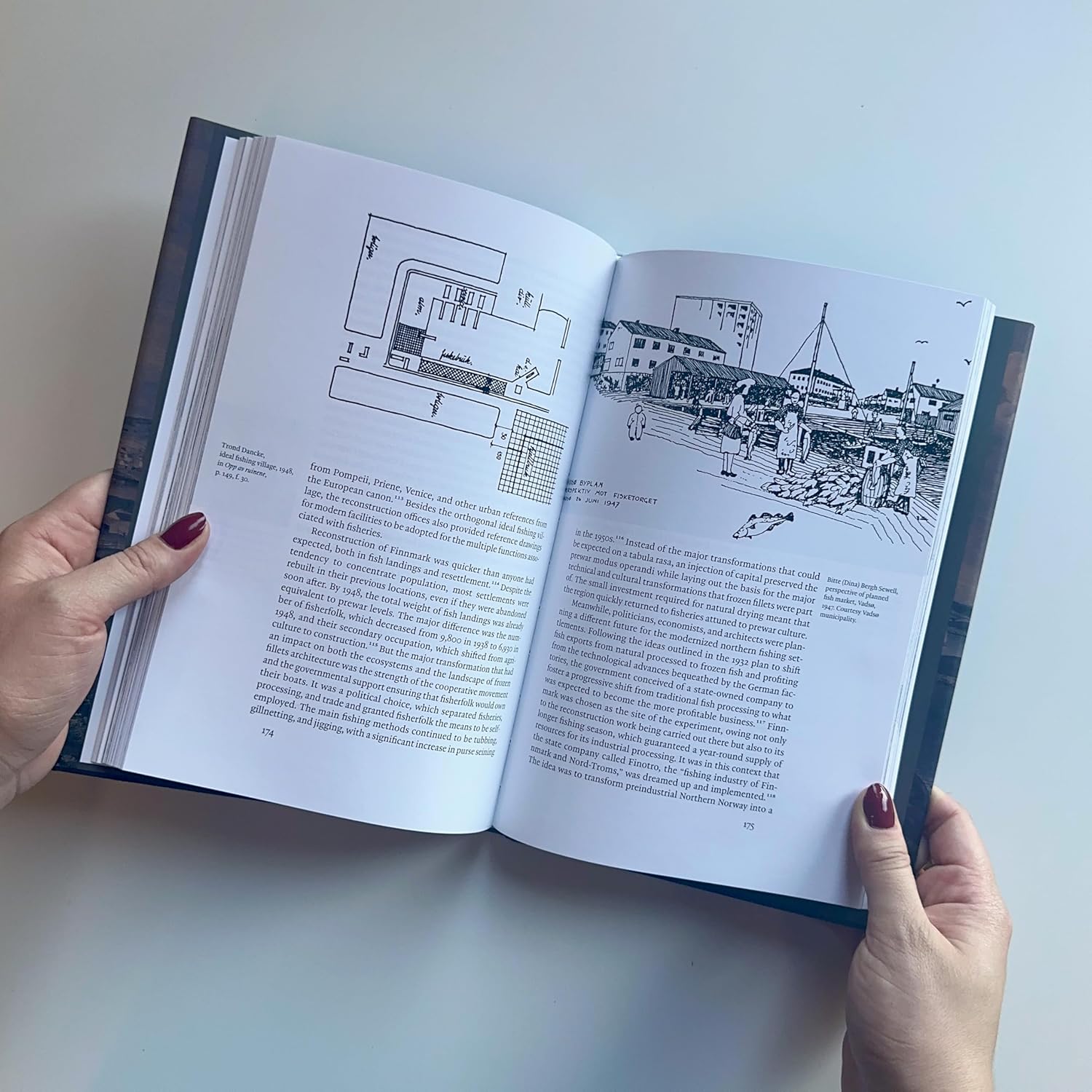 Architecture Follows Fish: An Amphibious History of the North Atlantic      Hardcover – October 29, 2024