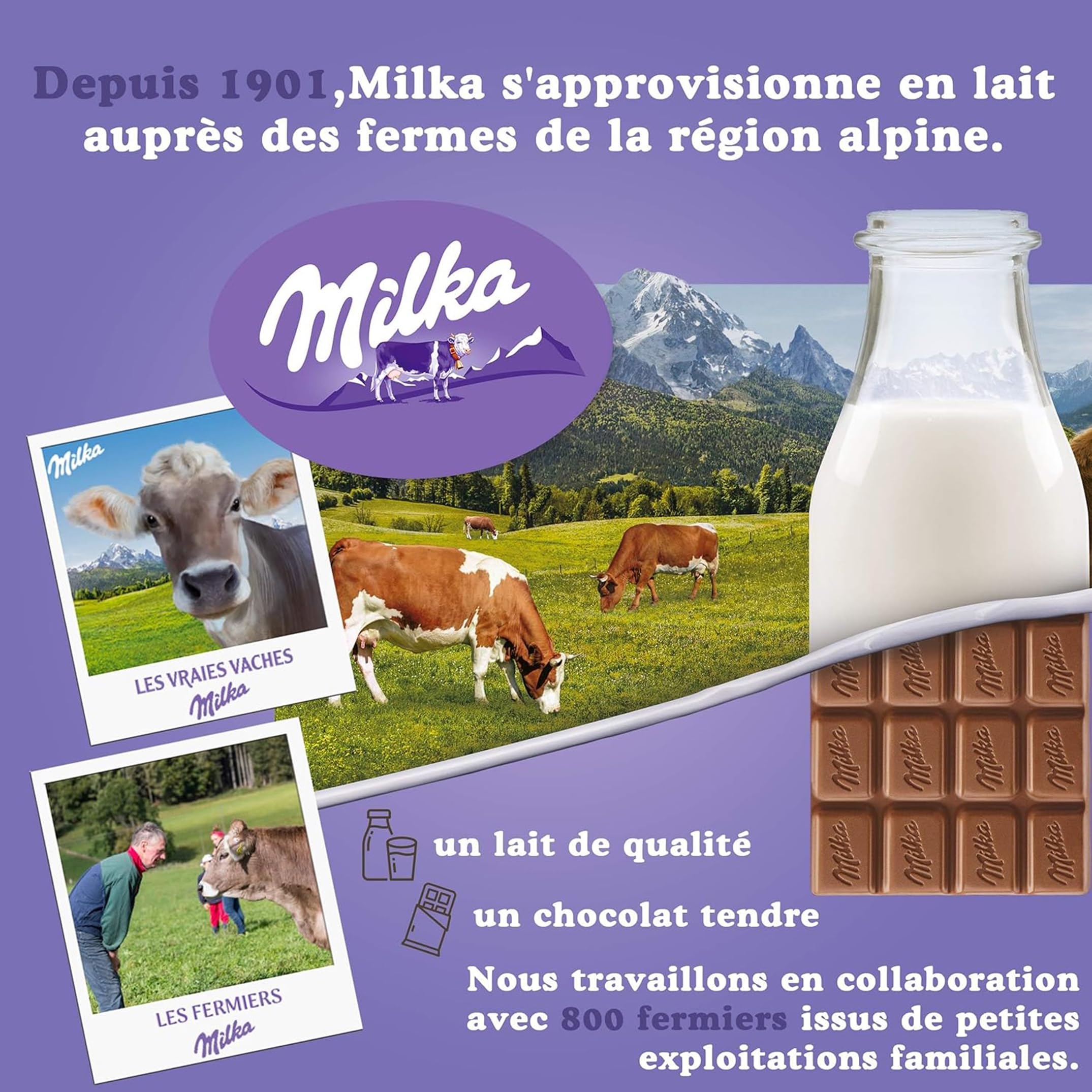 MILKA - Choco Brownie - Gâteau Moelleux Chocolat au Lait Milka et Pépites de Chocolat - Lot Gâteaux Individuels - Format Familial Pratique pour le Goûter des Enfants - Présentoir de 24 Sachets de 50g