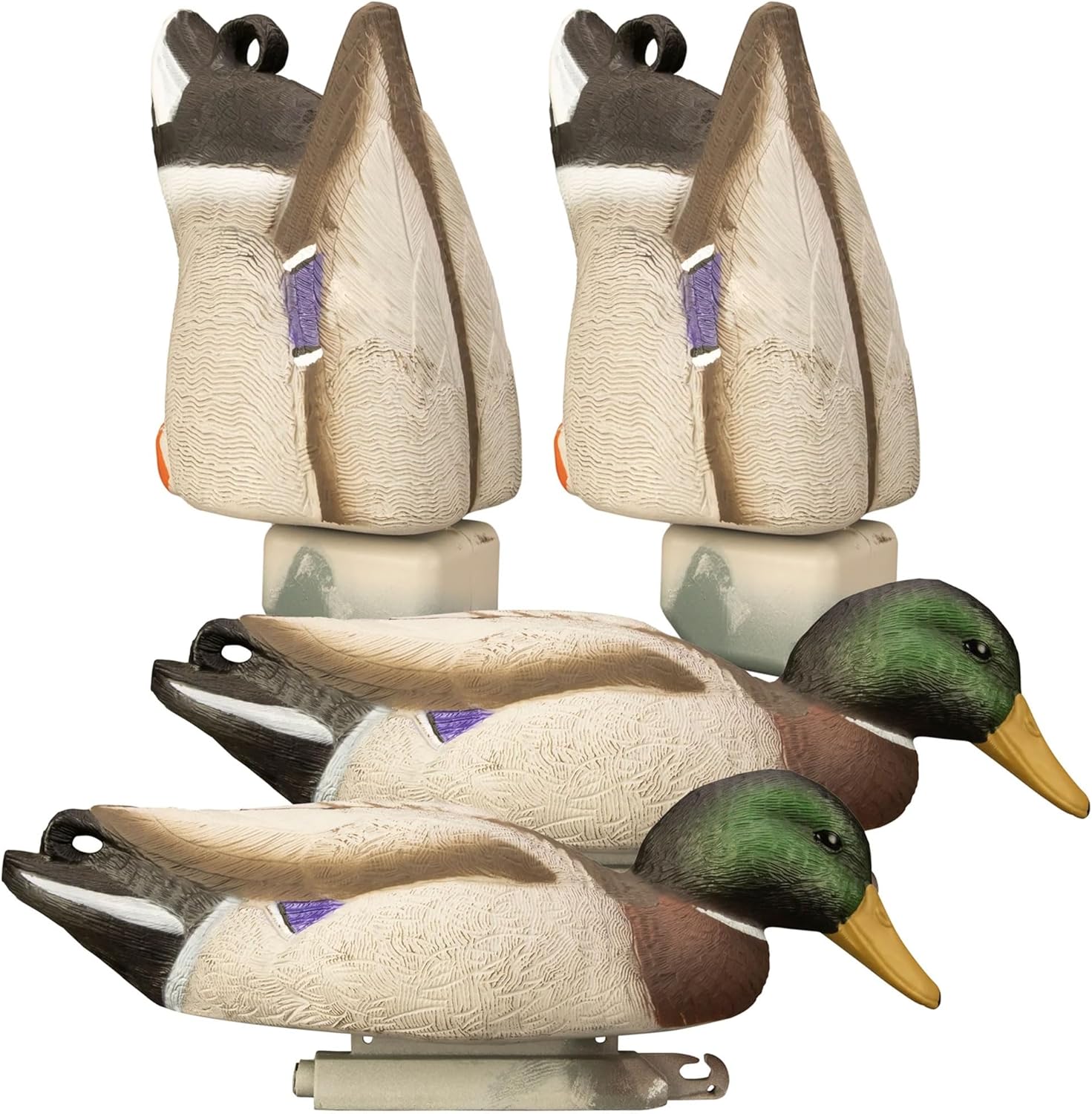 Higdon Outdoors Magnum Mallard Feeder Pack | Foam Filled Drakes 4pk (2 Butts, 2 Skimmers)