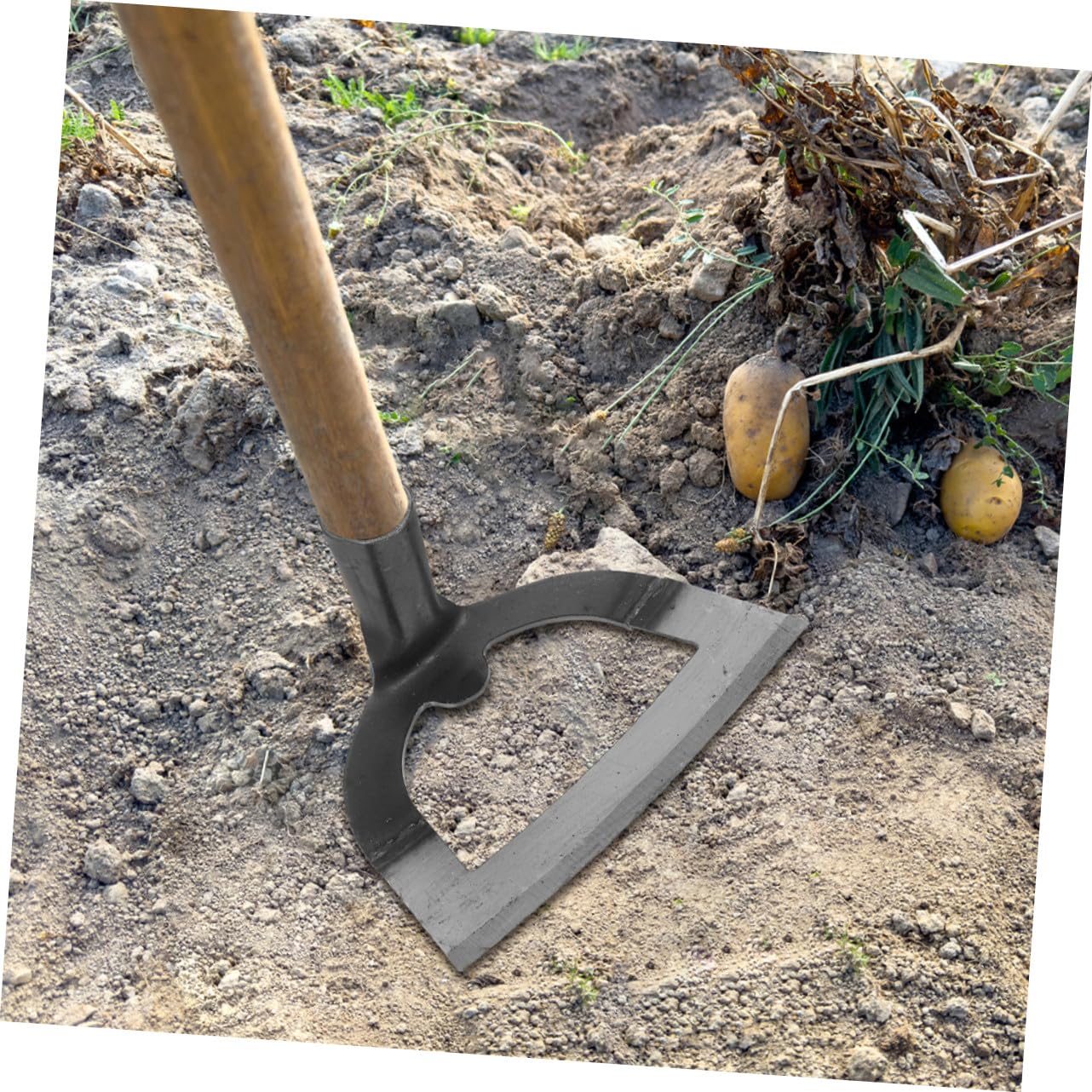 TOYANDONA 2 Stück Gartenhacken aus Edelstahl mit Scharfer Klinge und Klassischem Design Hohle Hacke zum Jäten und Bodenlockern für Gartenarbeit und Unkrautentfernung