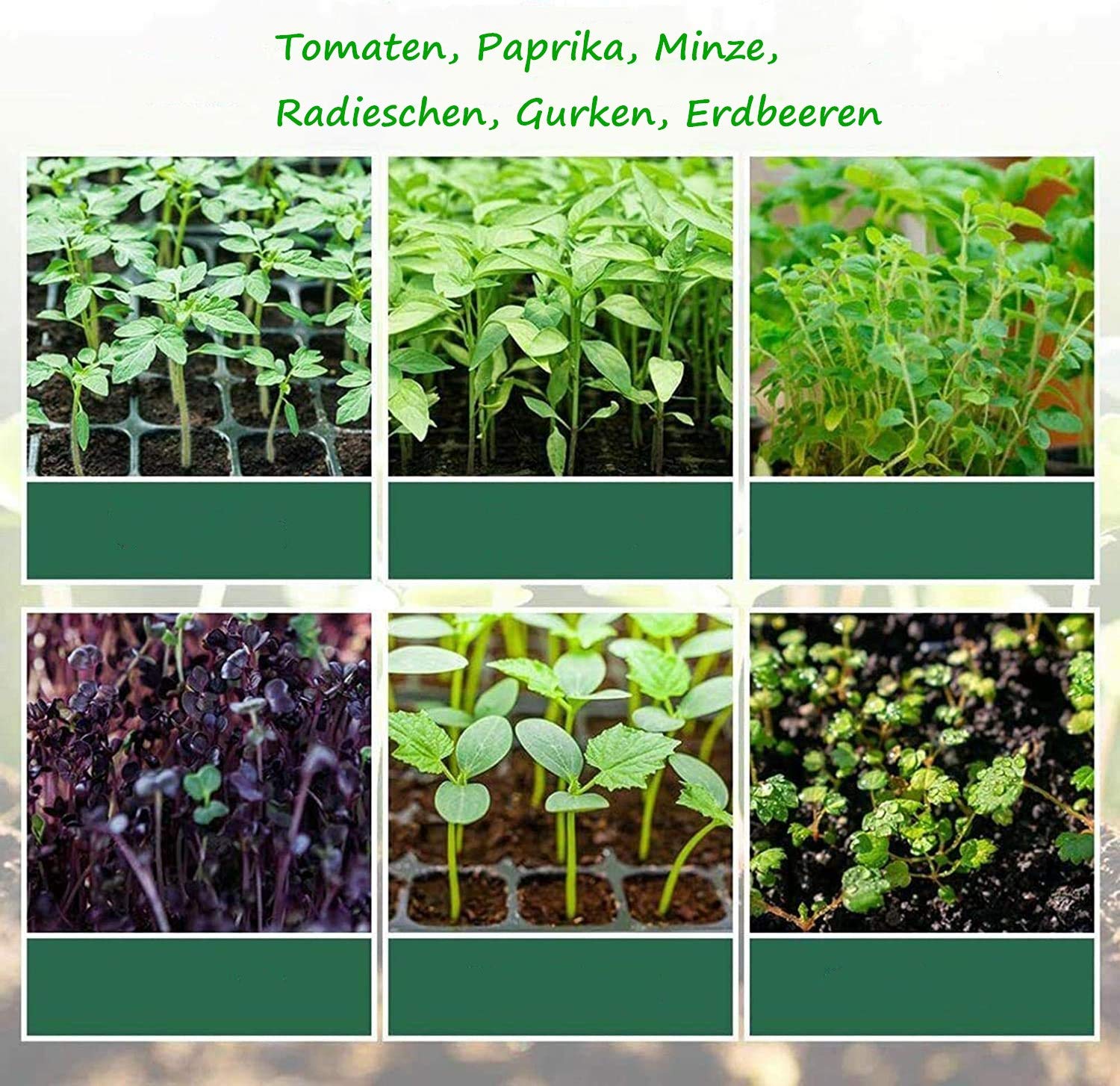 Voarge Invernadero de interior, con 12 agujeros para plantas y tapa, para invernadero, cultivo, macetas, macetas, macetas, jardineras