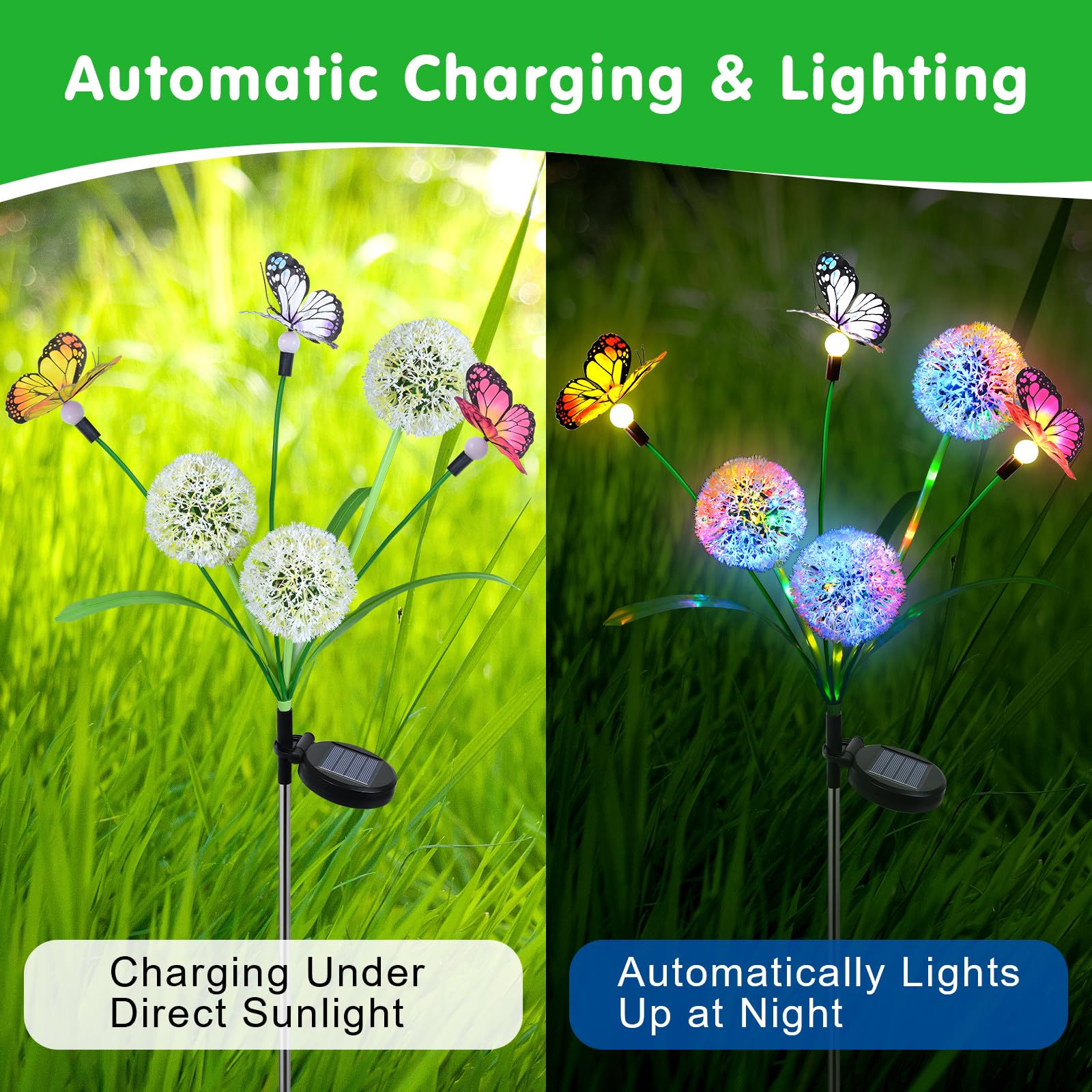 Qoosea 2 Pack Solar Lights Garden Ornaments, Dandelion with Butterfly LED Solar Lights Outdoor Decoration - Image 2