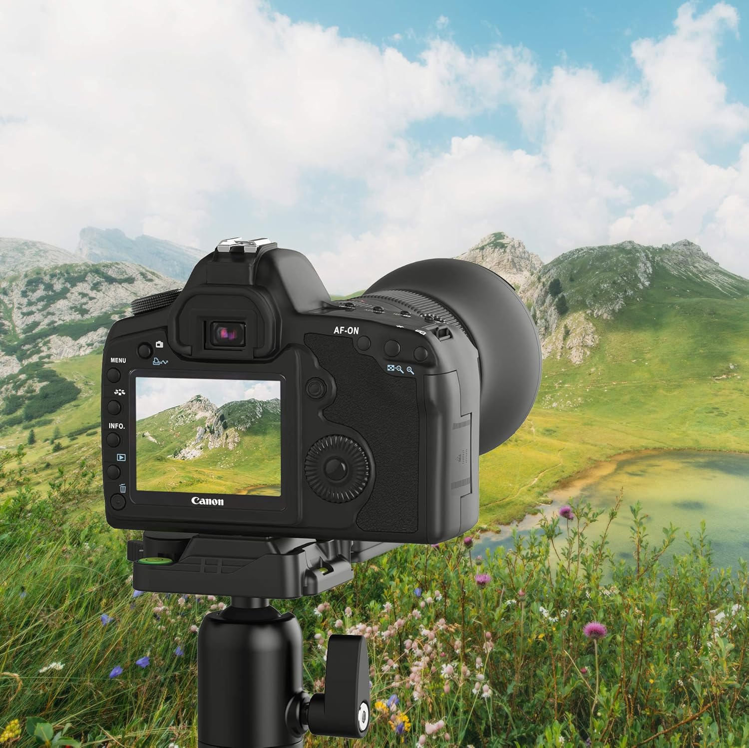 Sabrent 56 Inch Aluminum Tripod with 360 Degree Full Motion Camera Mount, Compact Version (TP-ALB6)