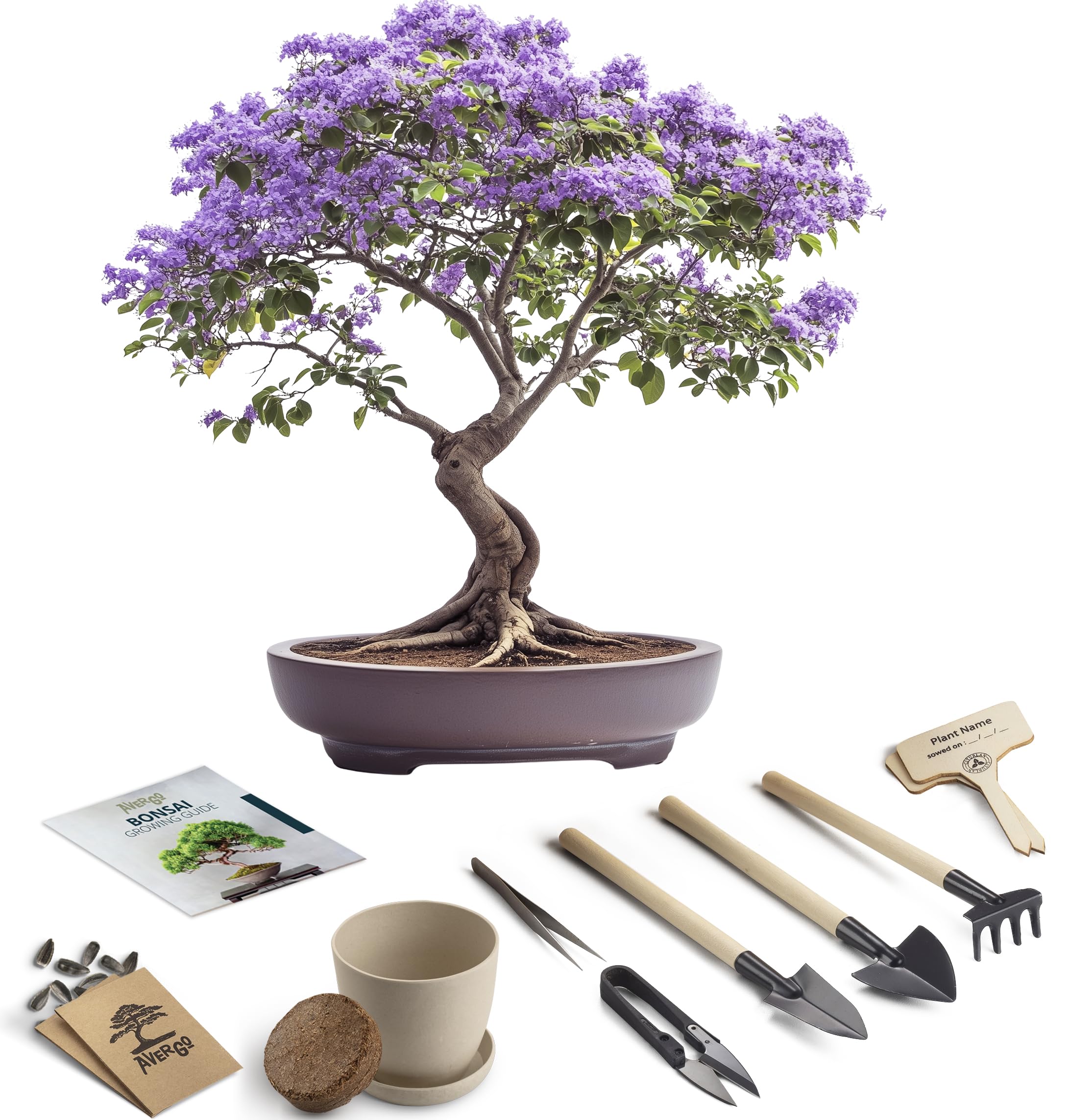 Bonsai Starter Kit - Growing Jacaranda Bonzai Tree from Seeds | Complete Indoor Tree Kit for Growing Plants with Tools & Planter - Gardening Gifts for Mother, Women & Men