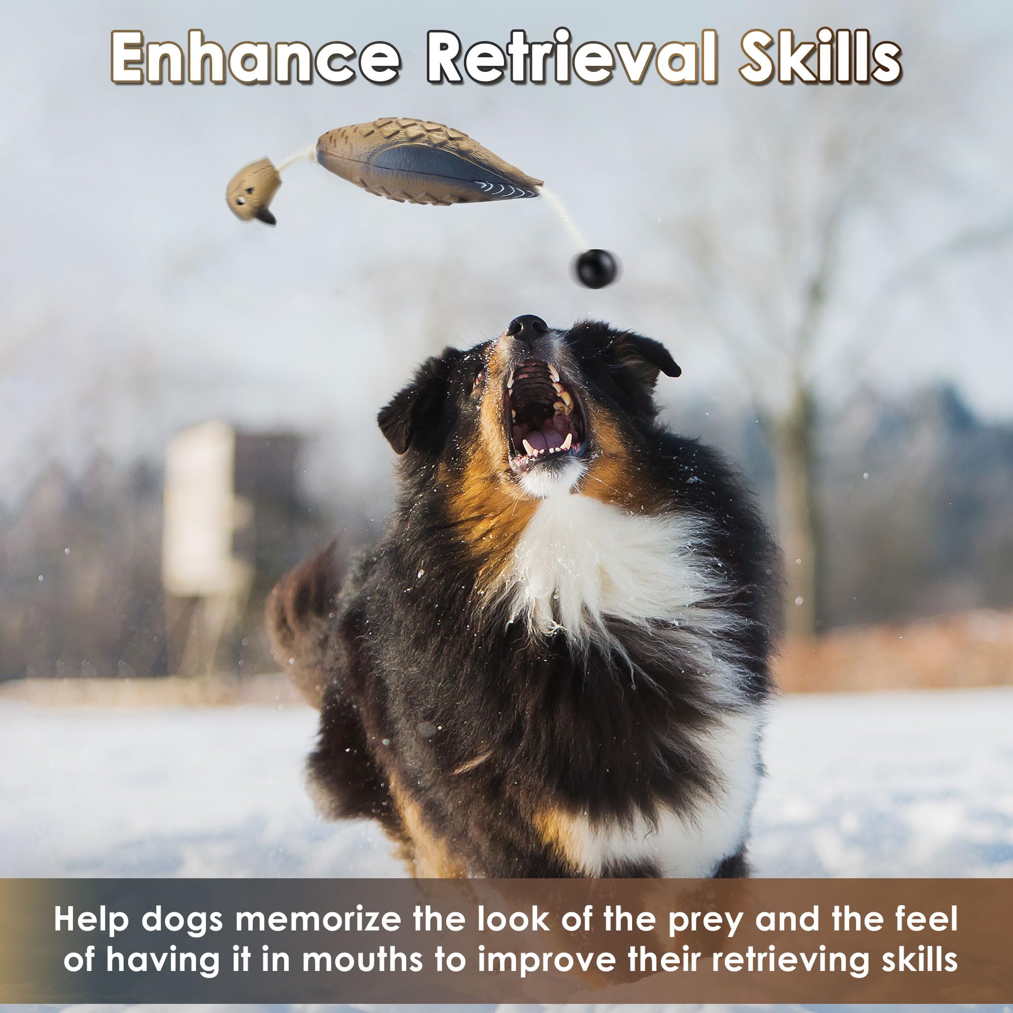 Saillong 2 Pack Hunting Dog Toy Training Bumpers, Pheasant Dummy, Floating Fowl Trainer, Mimic Real Hunting Retriever, Durable Dogs Dummy Decoys Training Toy for Dogs