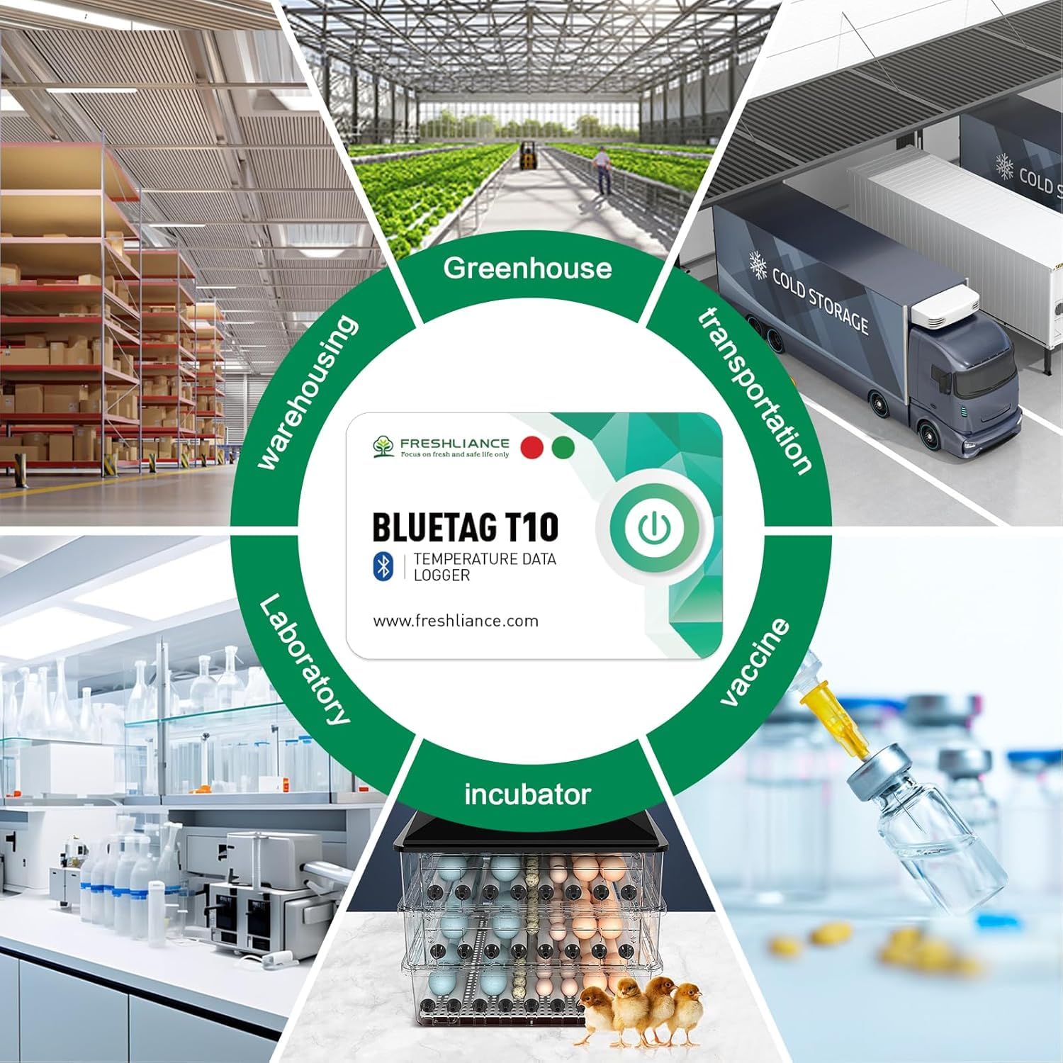 Freshliance - Registrador de datos de temperatura Bluetooth, grabadora de monitor de temperatura remota con exportación de almacenamiento de datos, sonda de sensor de temperatura de uso múltiple para