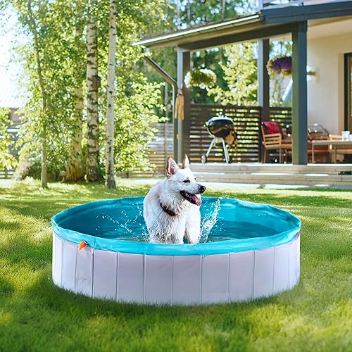 Miniatura 3 de Dudi Piscina para perros con aspersor  Bañera de 63 pulgadas para perros  Piscina extra grande XL para mascotas para llenar de agua  Espolvorear y