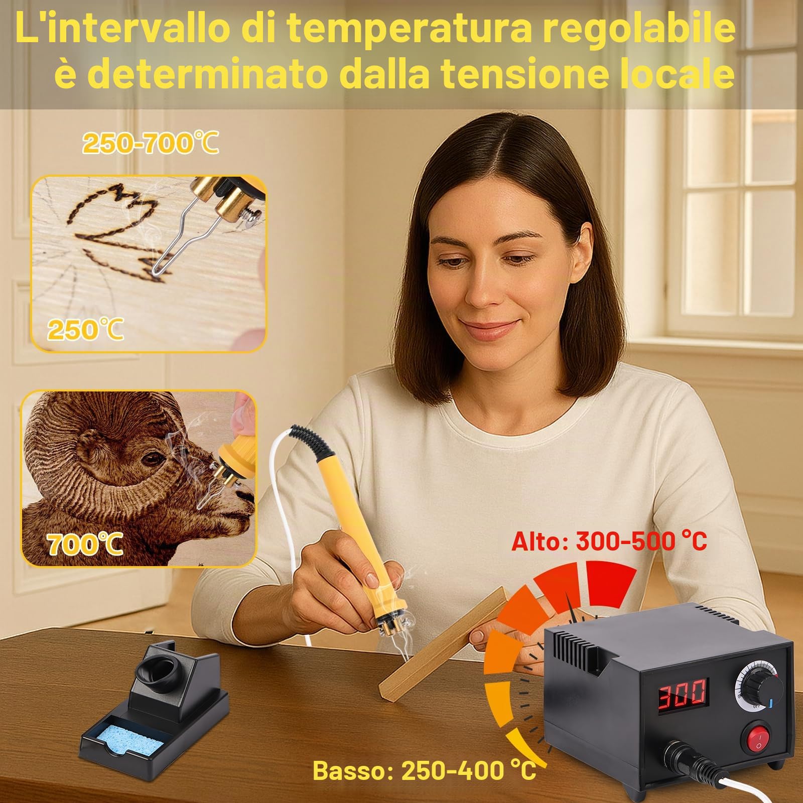 Set Pirografo per Legno professionale con Display LCD,20 Punte Incluse, Temperatura Regolabile 250–750°C, Ideale per Legno, Pelle, Zucca e Sughero