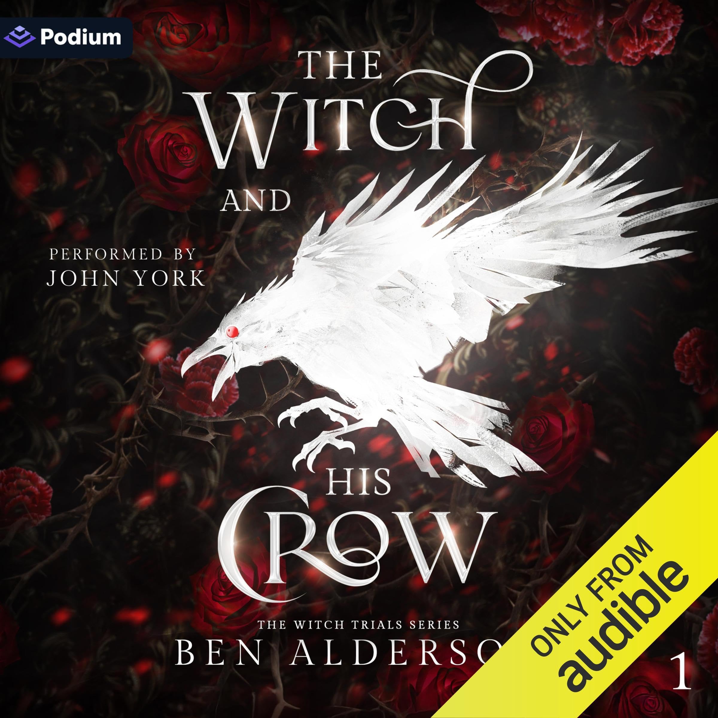 The Witch and His Crow