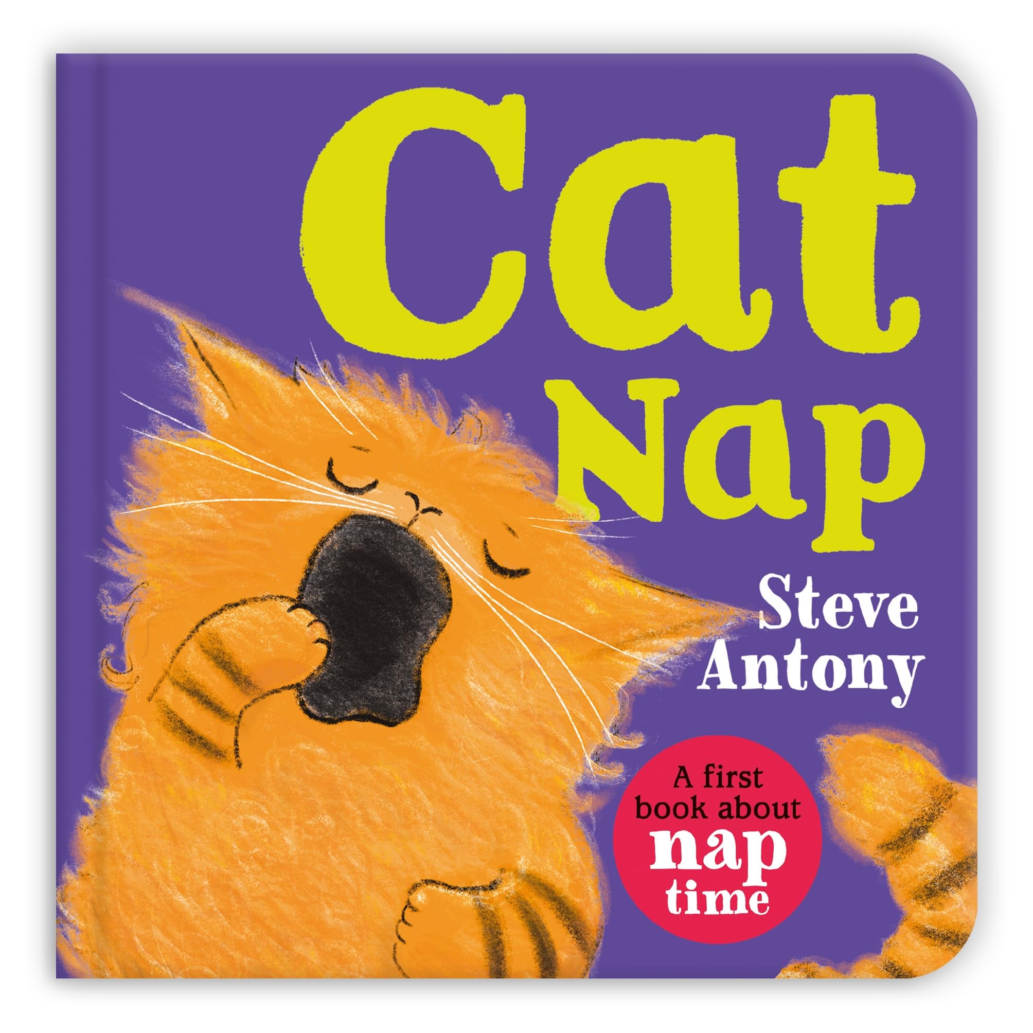 Cat Nap: A First Book About Naptime (Cosy Creatures)