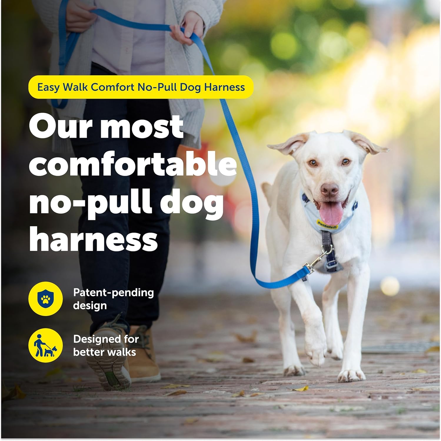 PetSafe Easy Walk Comfort No-Pull Dog Harness - Better Walk Training Harness - Full Body Padded Design - Durable Fabric - 5 Point Adjustable Fit - Everyday Leash Training - Black - X-Small