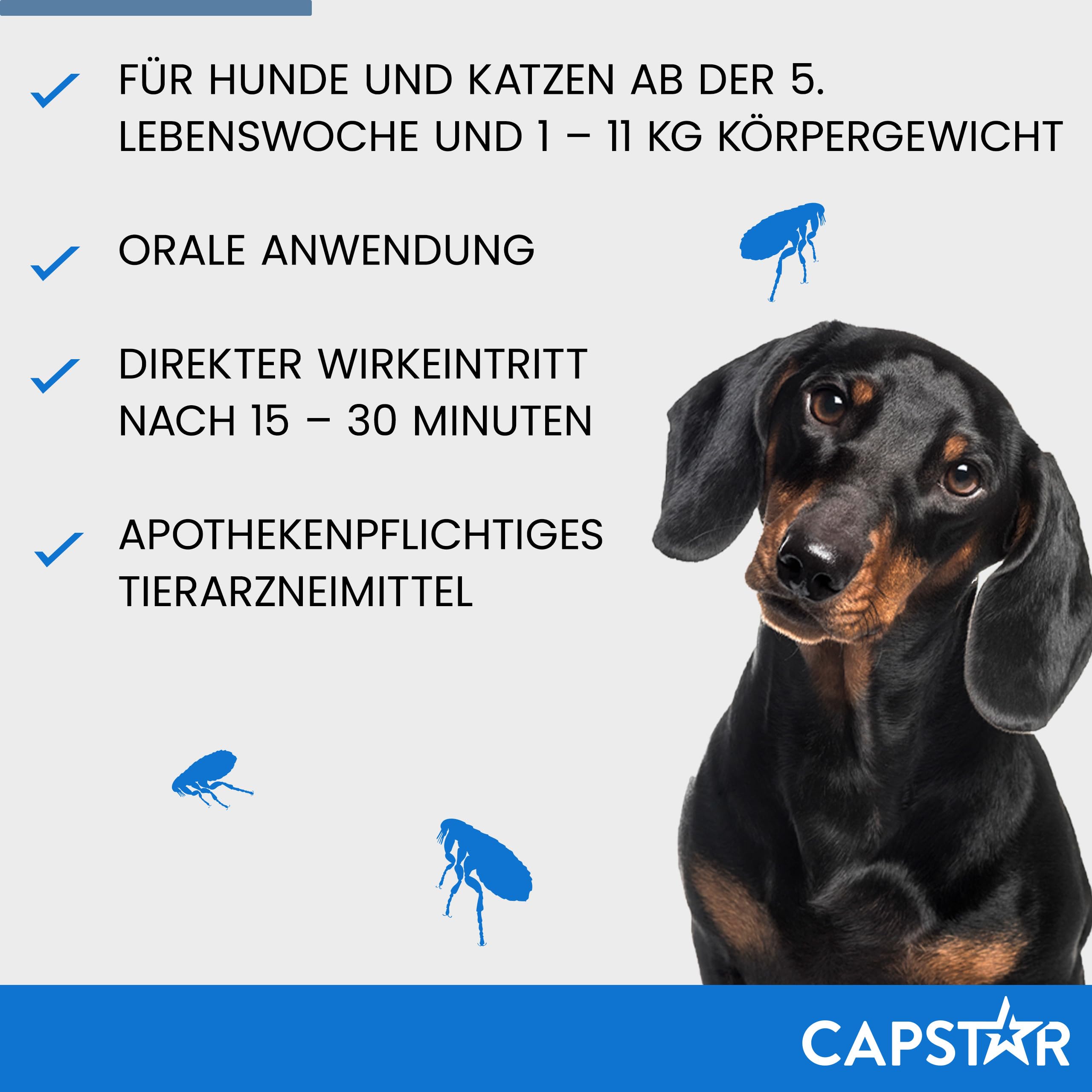 Capstar Flohtabletten für Katzen & kleine Hunde 1-11kg, 6 Stück | Zur Sofortbehandlung bei akutem Flohbefall. Wirkt schnell ab 15 Minuten. Einfache orale Eingabe gegen Flöhe